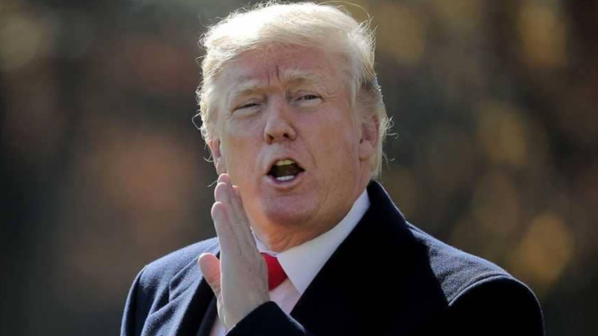 الرئيس الأميركي دونالد ترمب