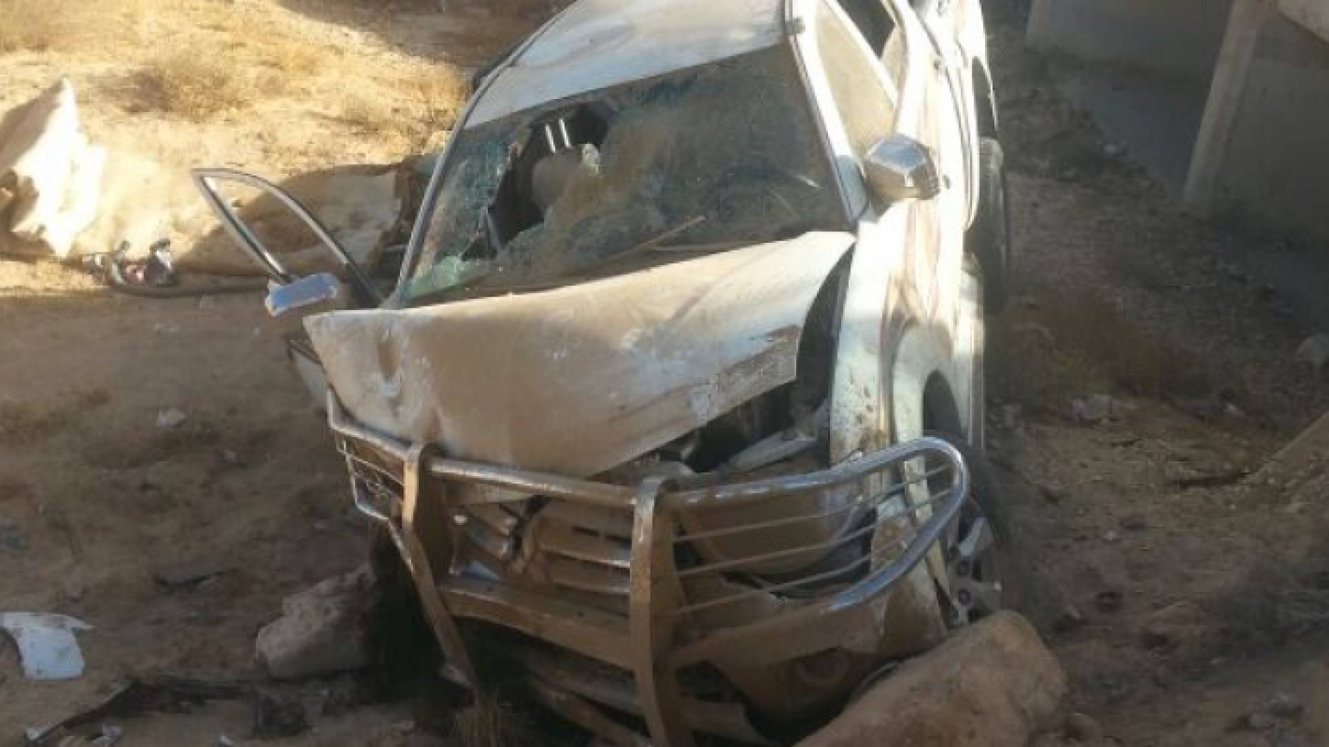 الصورة من المصدر