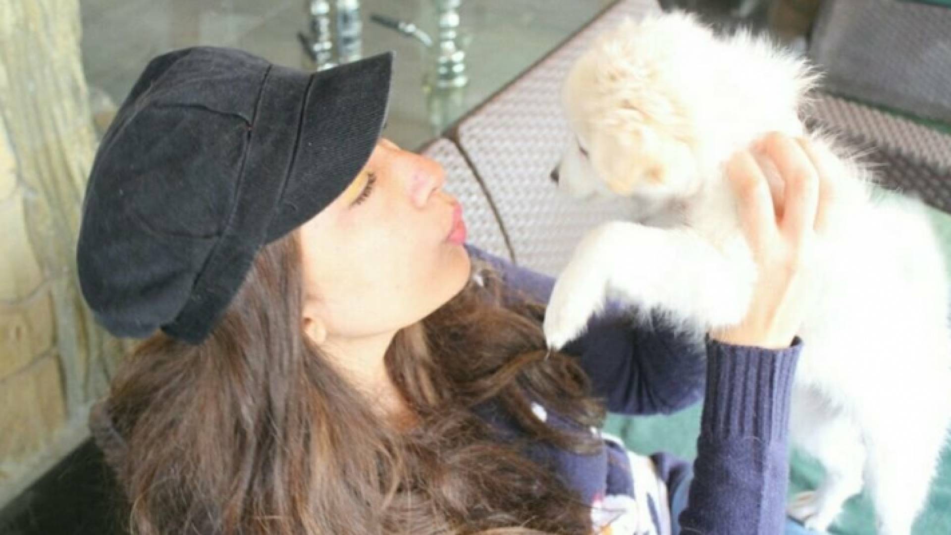 المشروبات والأطعمة التي تقدم للحيوانات مجانية