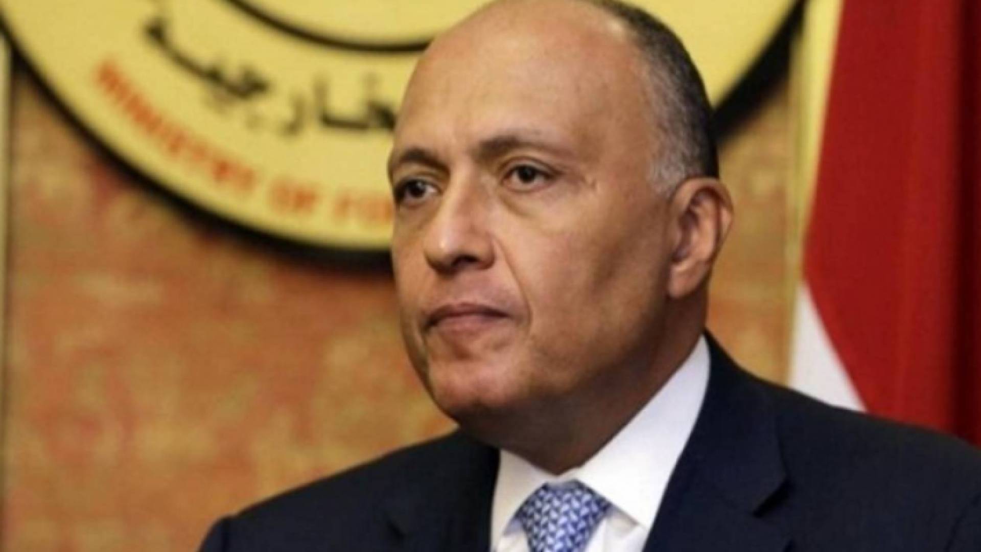 وزير الخارجية سامح شكري