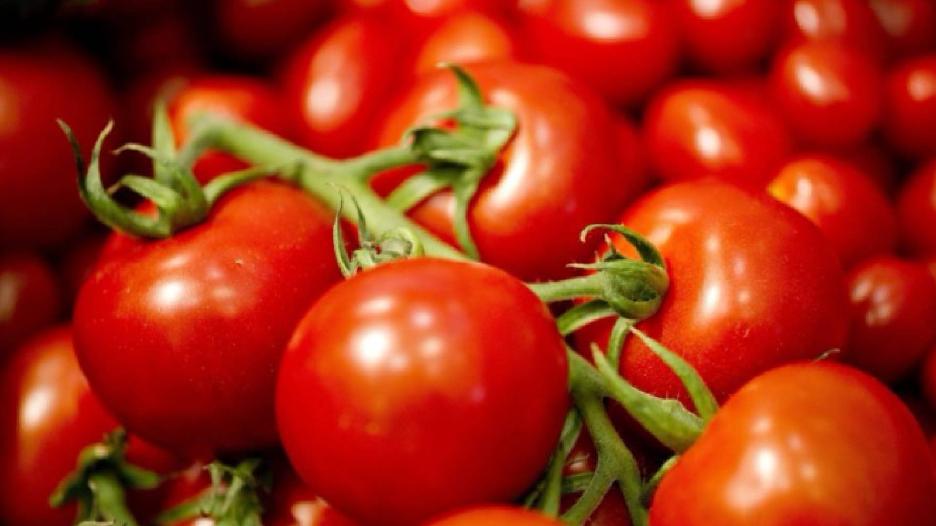 الصورة أرشيفية