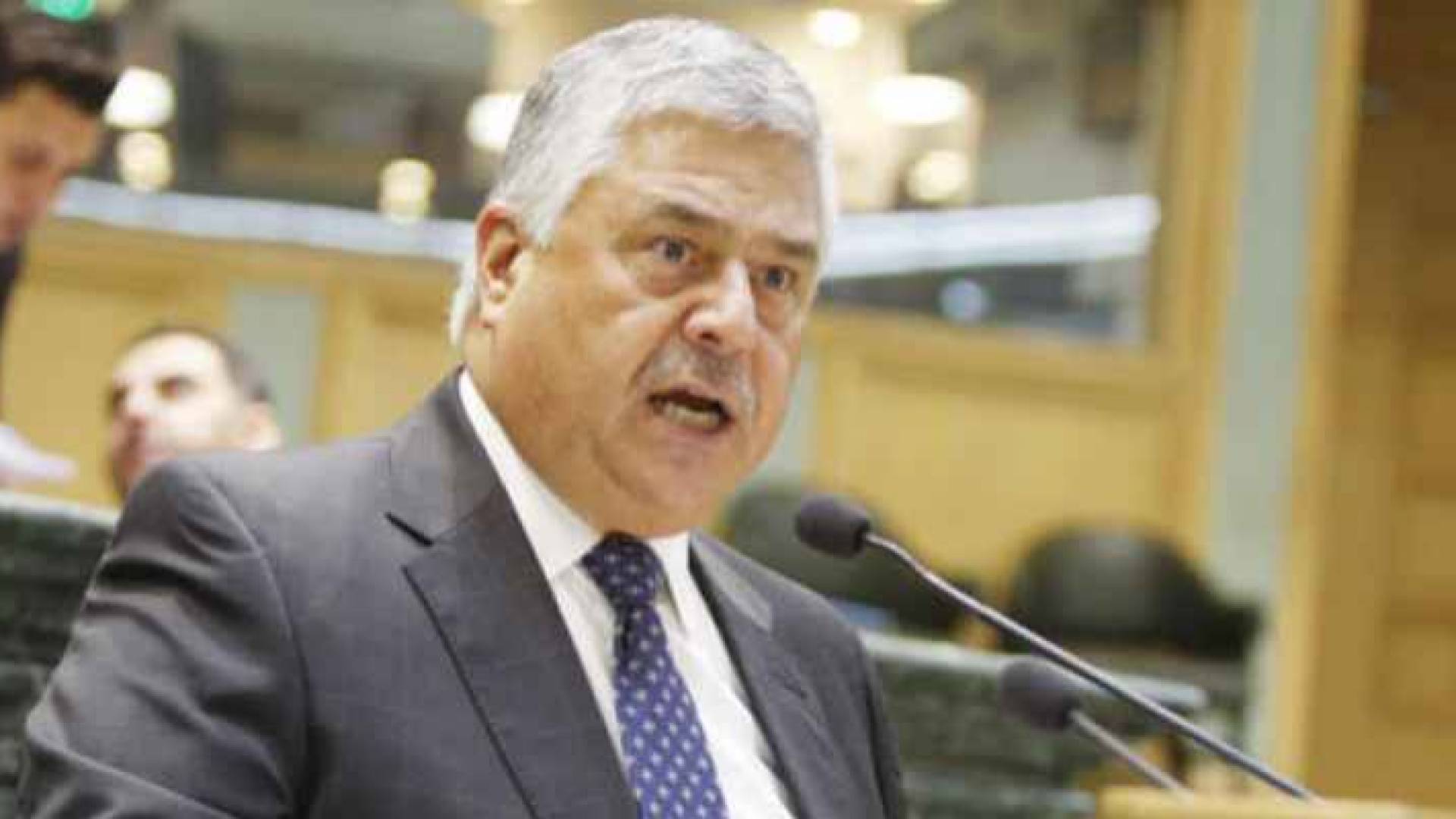 وزير المالية عمر ملحس