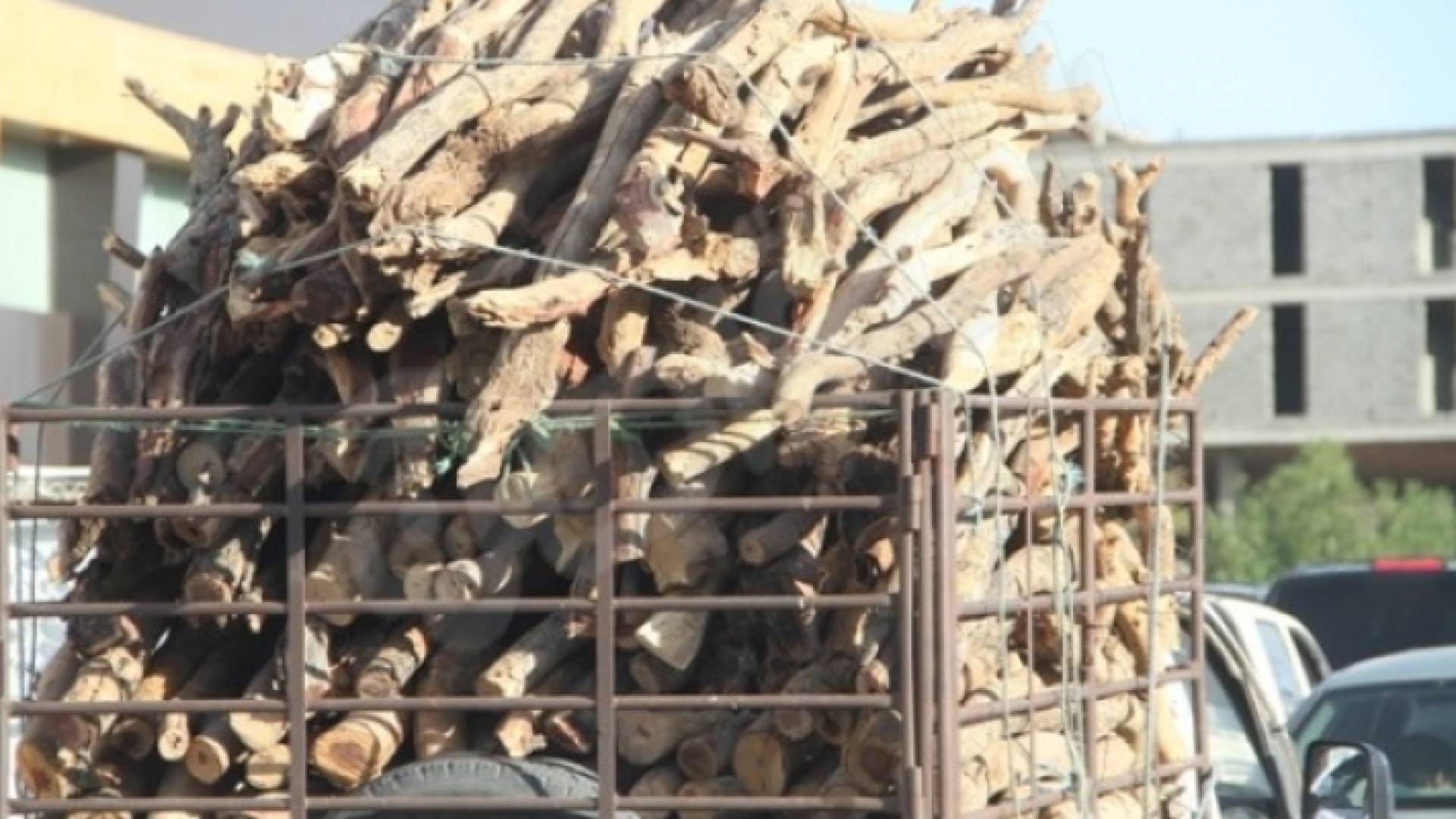 الصورة ارشيفية