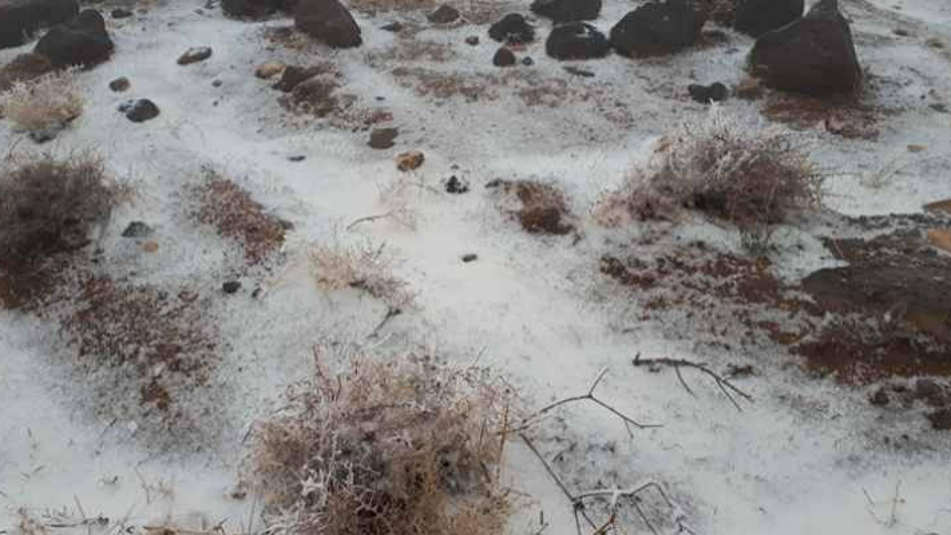 جانب من الثلوج التي شهدتها بعض مناطق المملكة