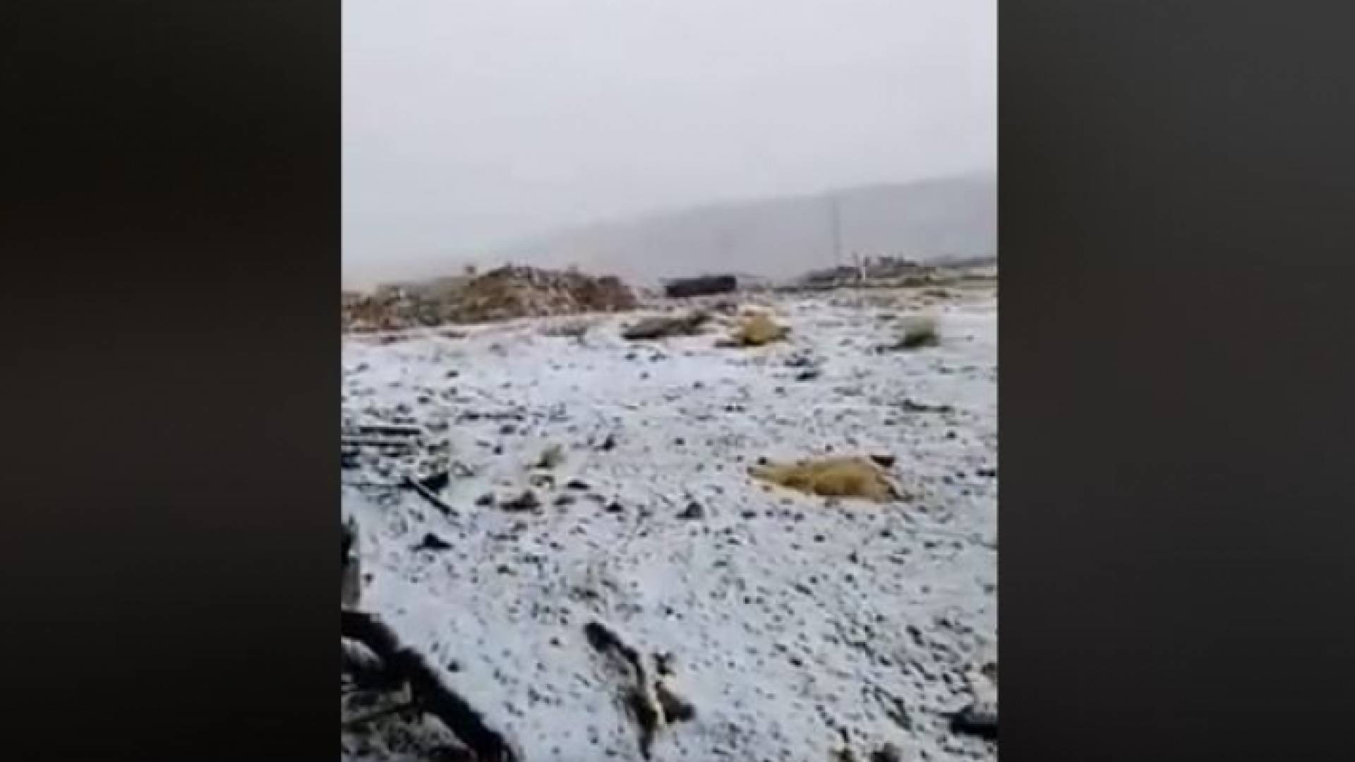 الصورة أرشيفية