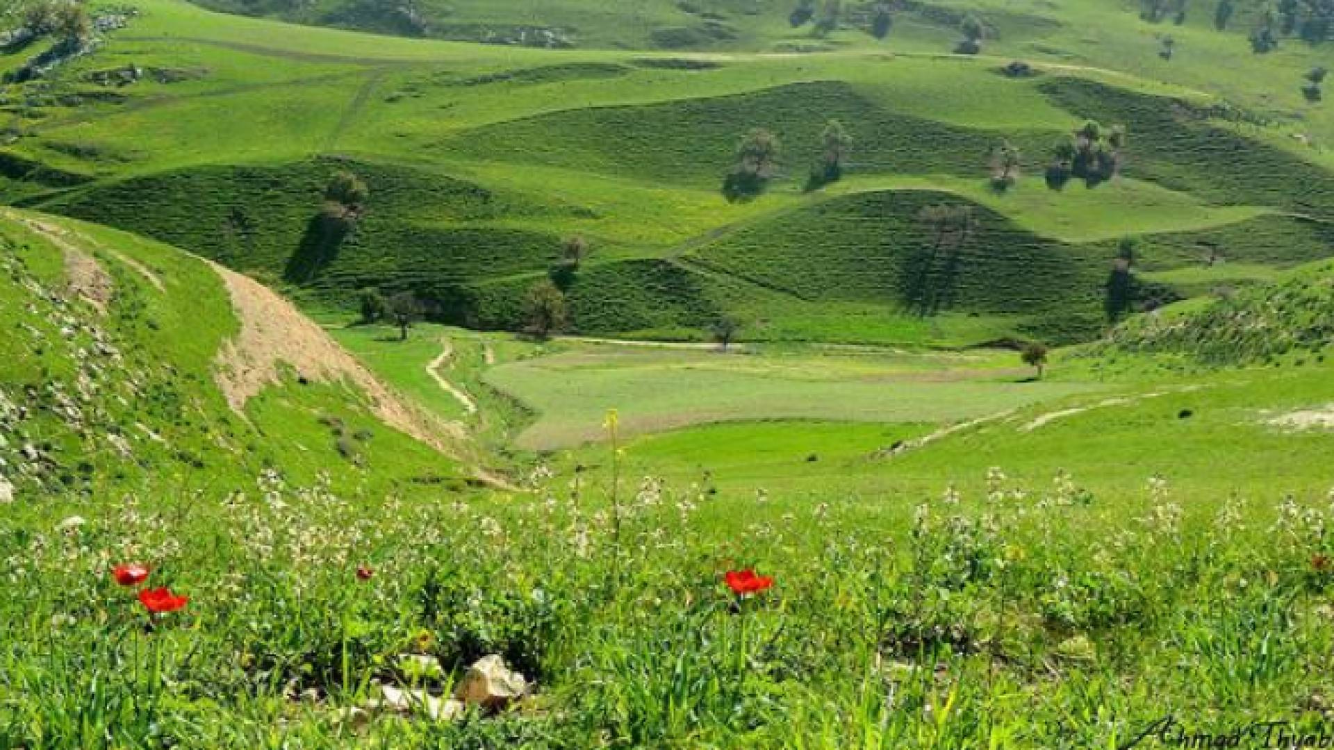 الصورة أرشيفية