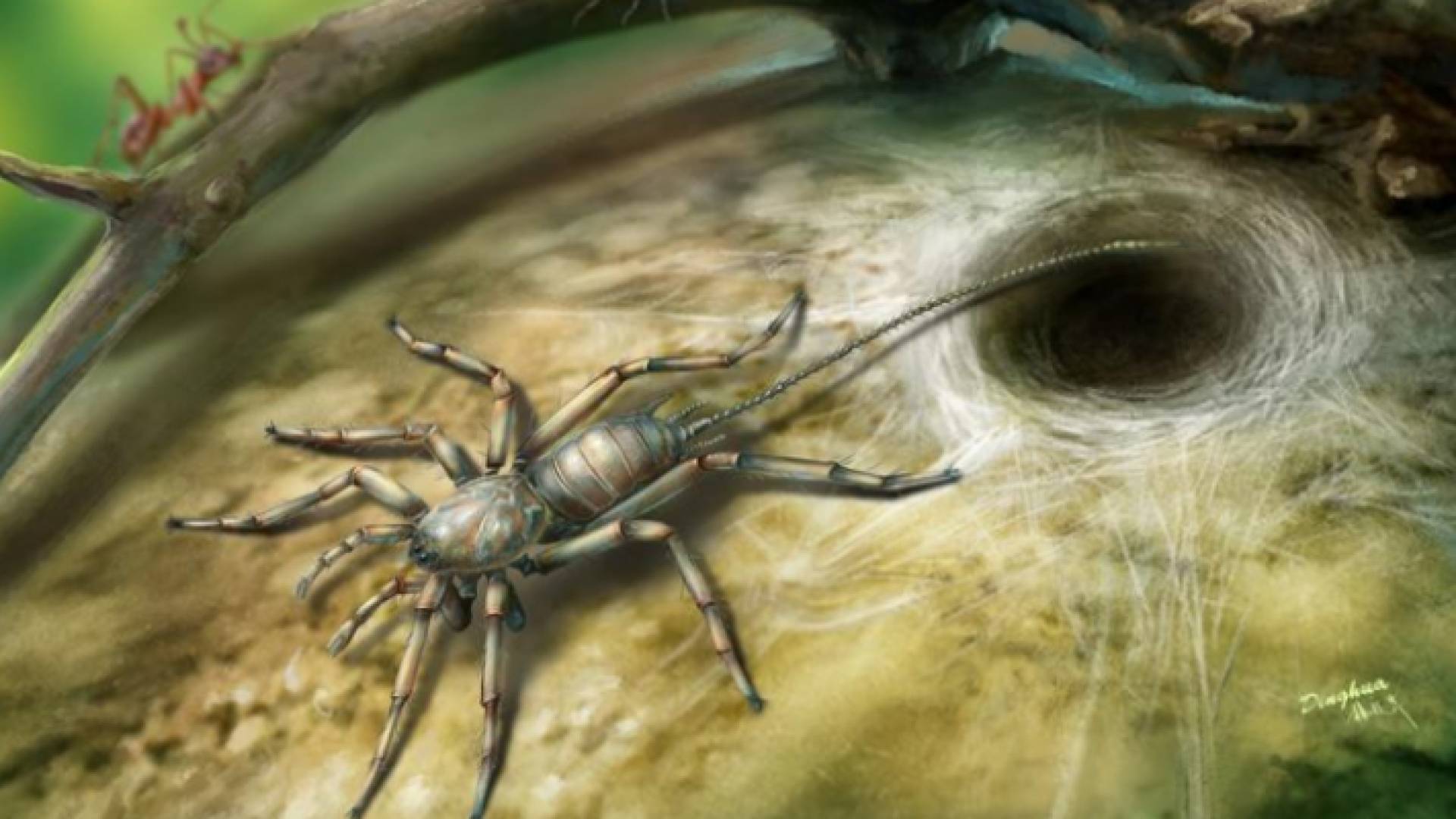 العنكبوت الصغير الذي اكتشفه العلماء مدفونا داخل قطع من الكهرمان