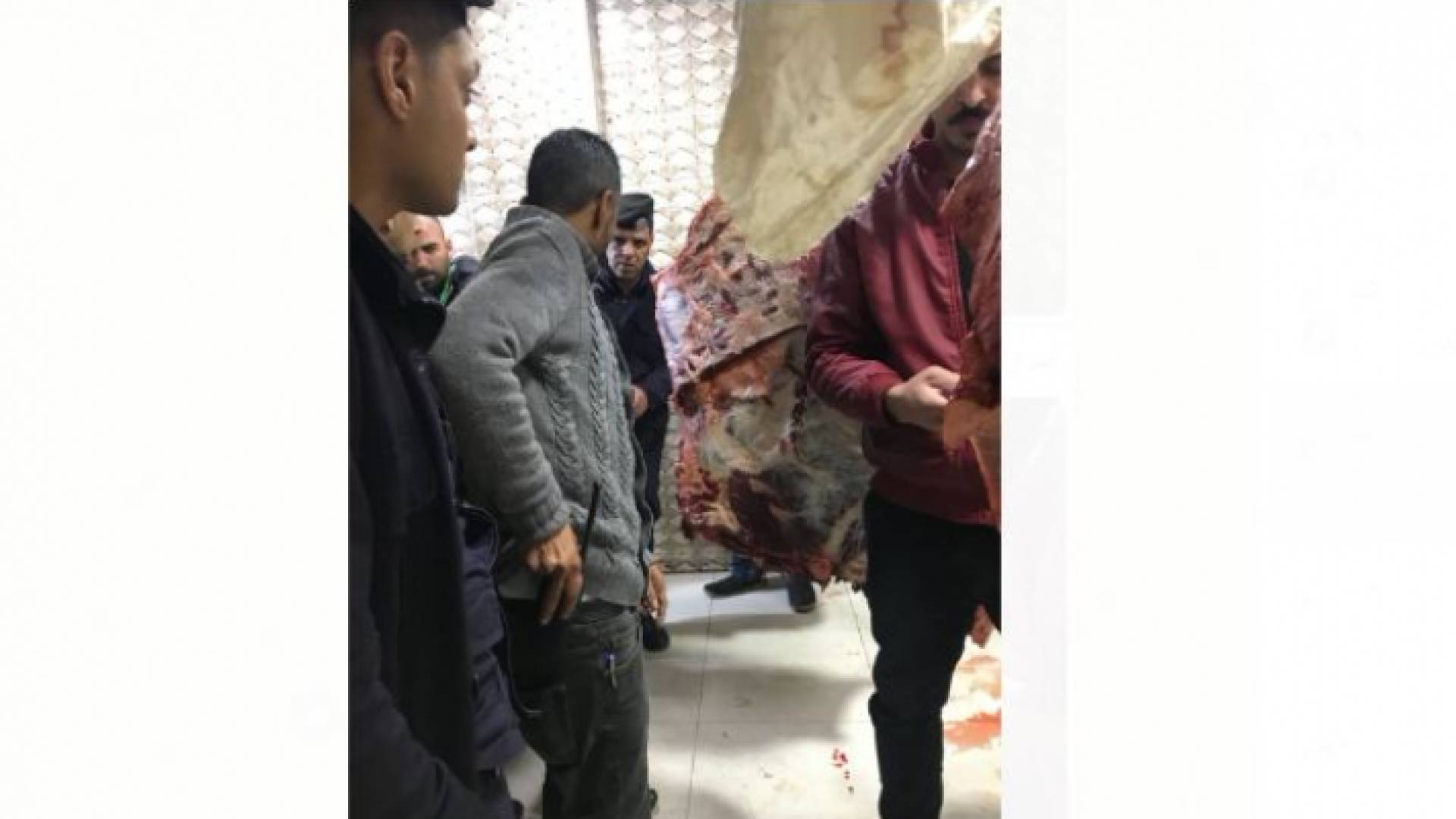 اتلاف ١٠٠ كيلوا من اللحوم الفاسدة في اربد