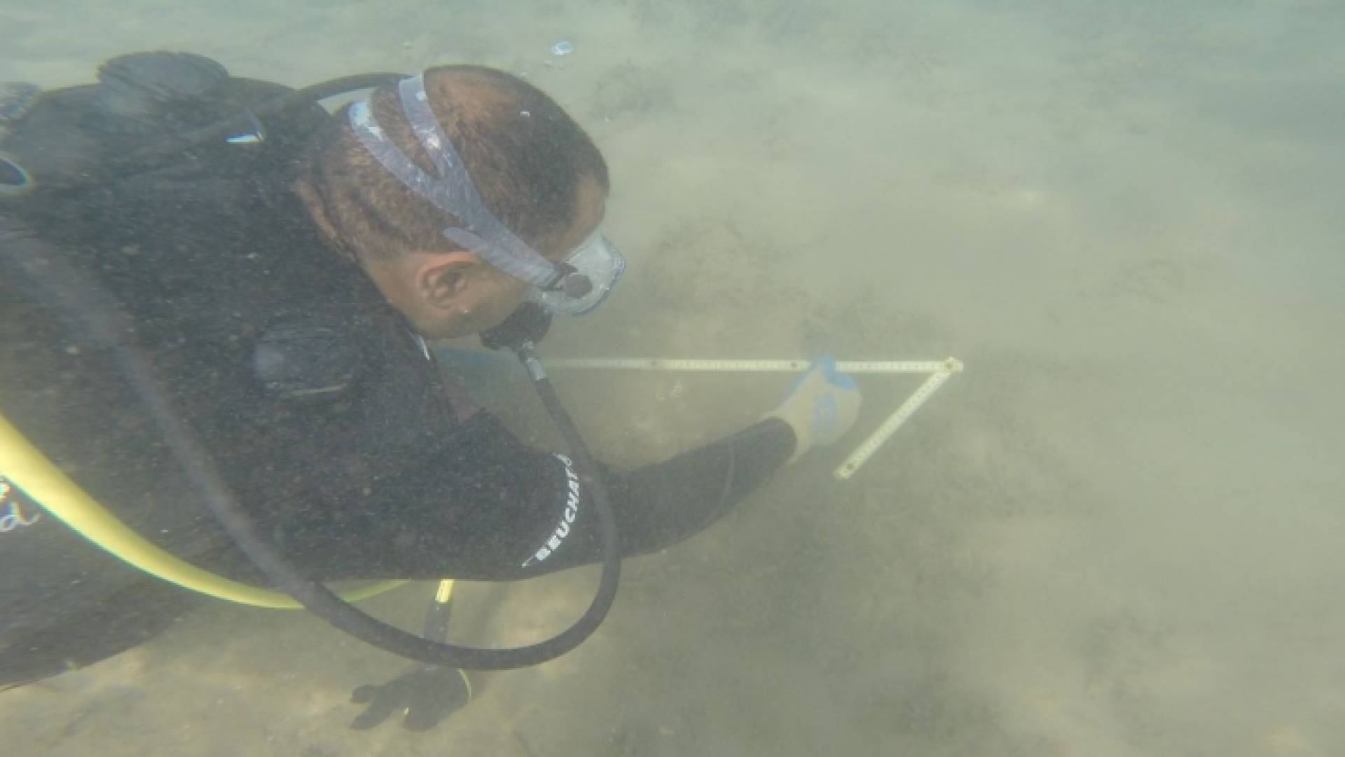 إعلان نتائج المسوحات الأثرية لموقع آيلة