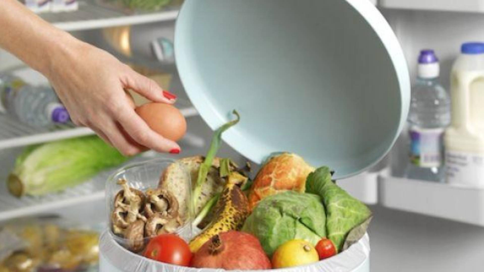 اطعمة - ارشيفية