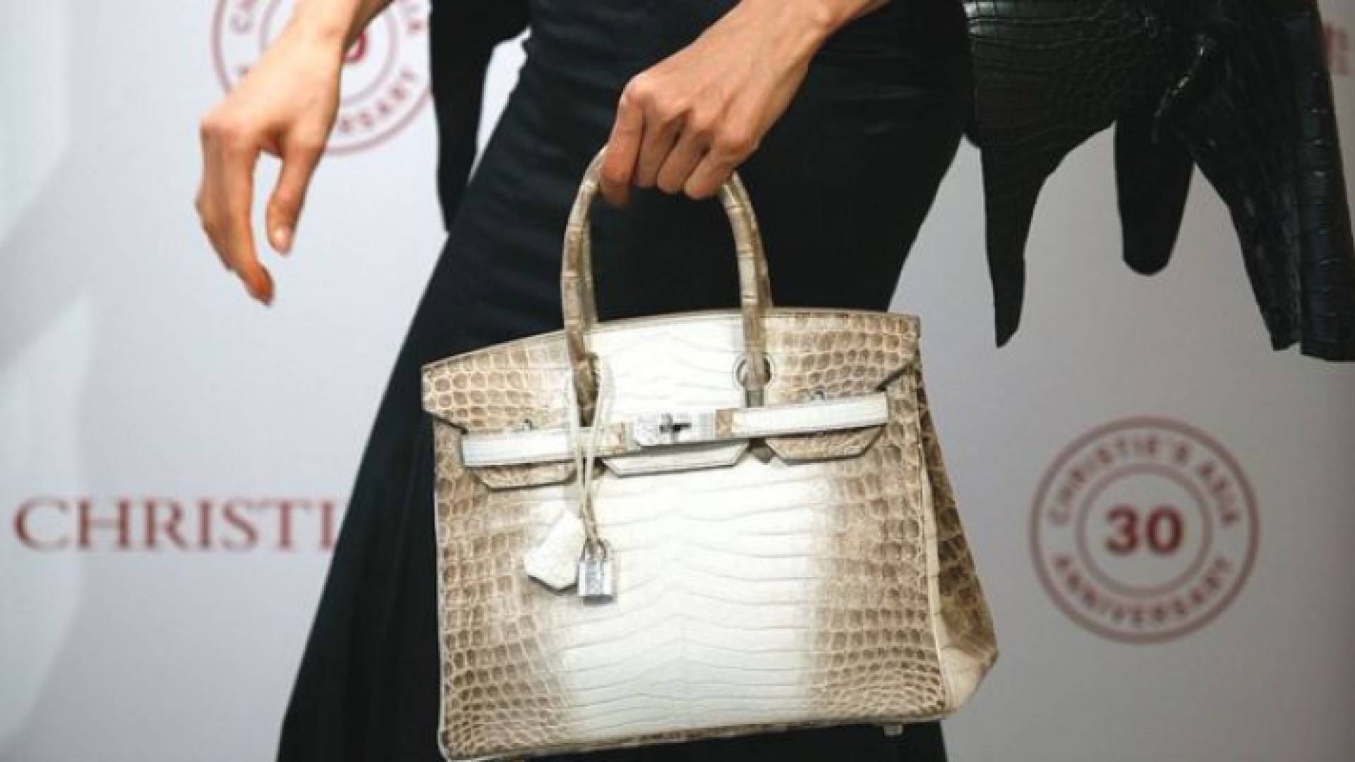 الحقيبة مصنوعة من جلد التمساح