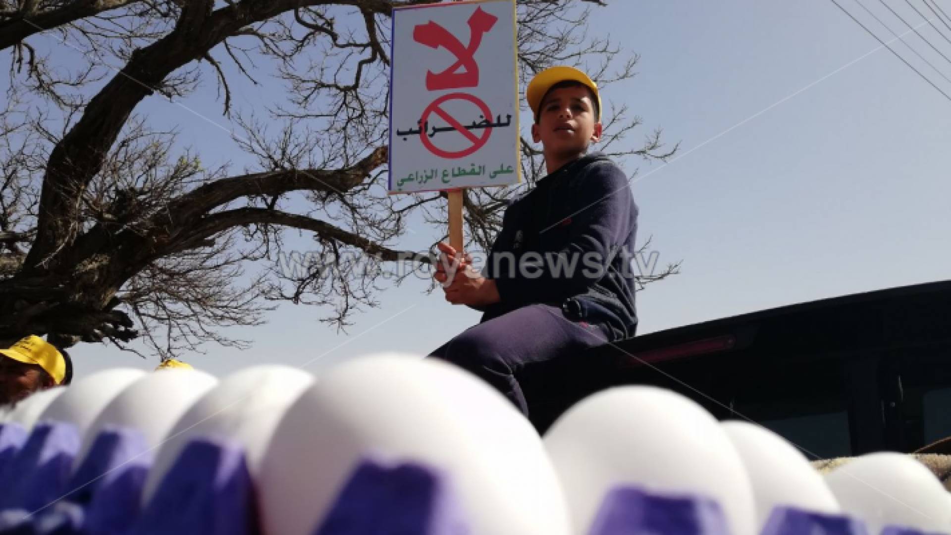 من اعتصام المزارعين أمام مجلس النواب