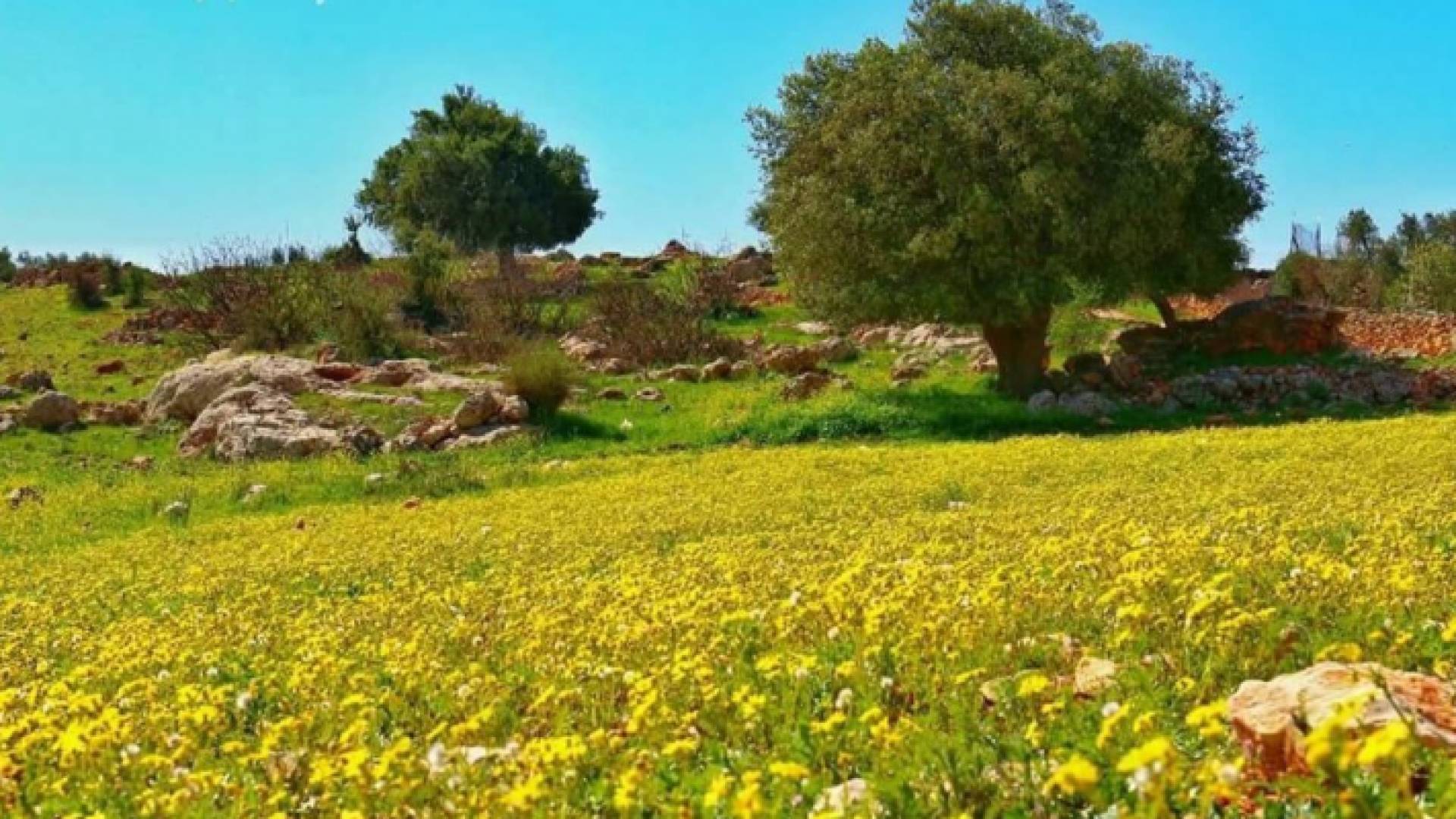 عجلون - ارشيفية