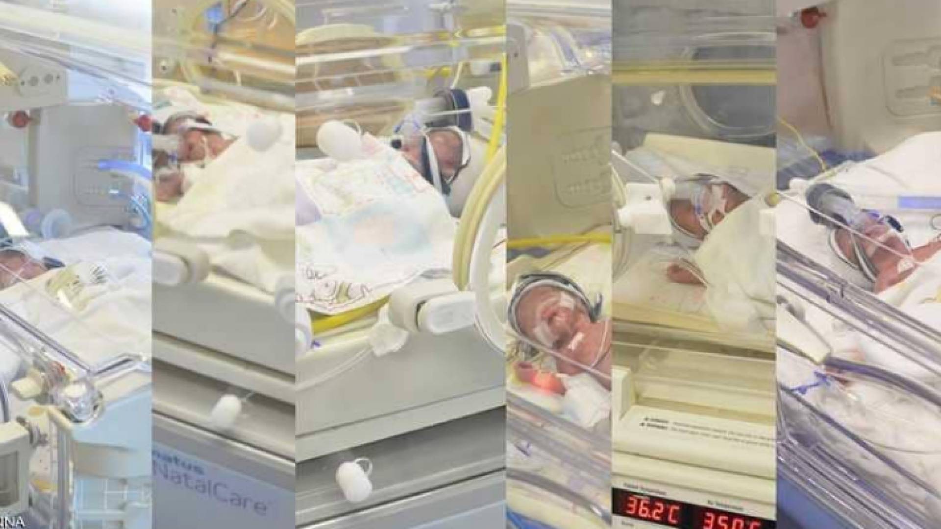 الرضع بحالة جيدة