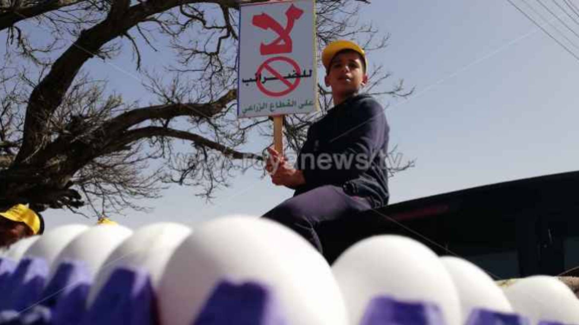 من اعتصام المزارعين أمام مجلس النواب - ارشيفية