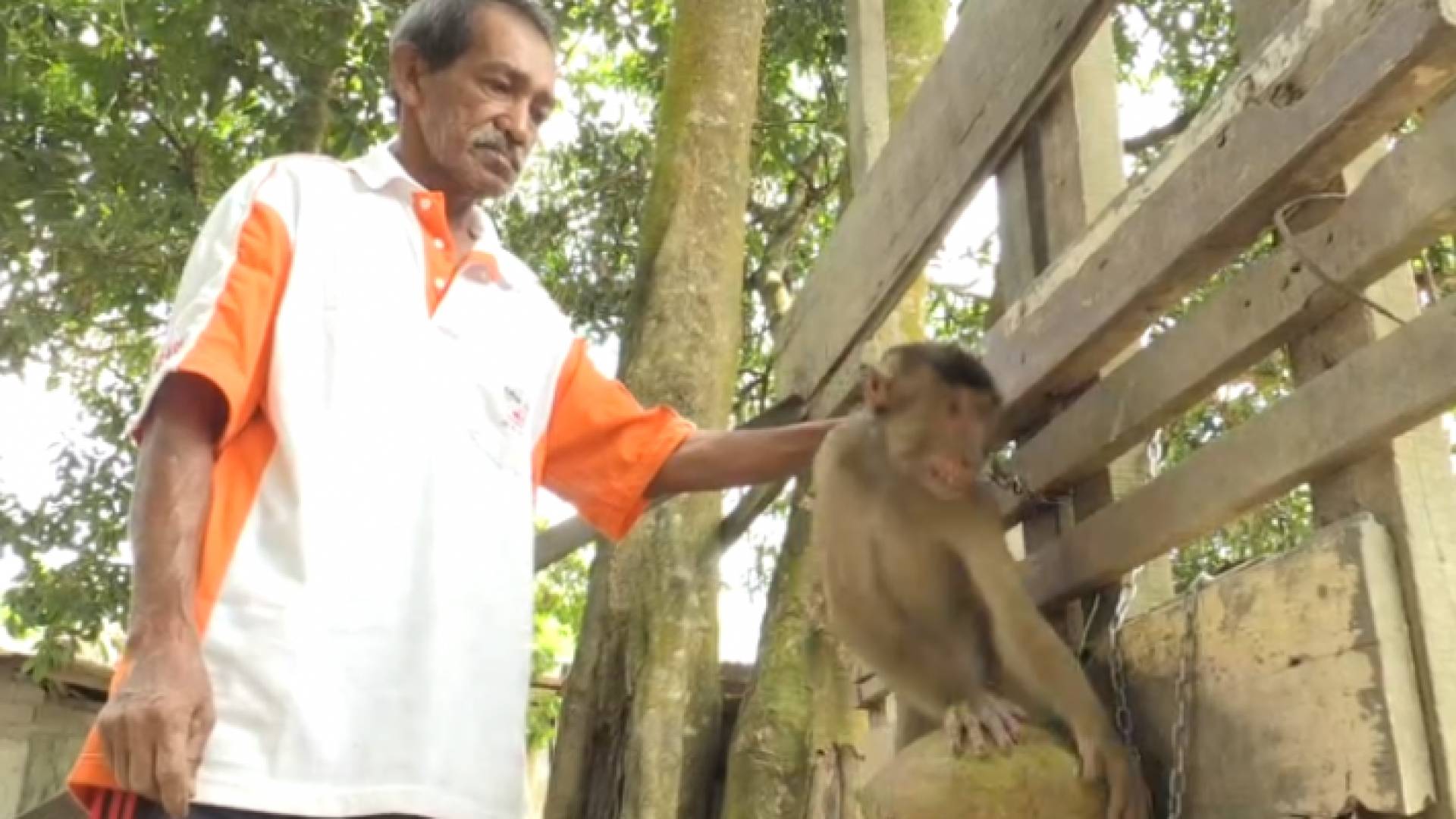 مدرسة في ماليزيا لتدريب