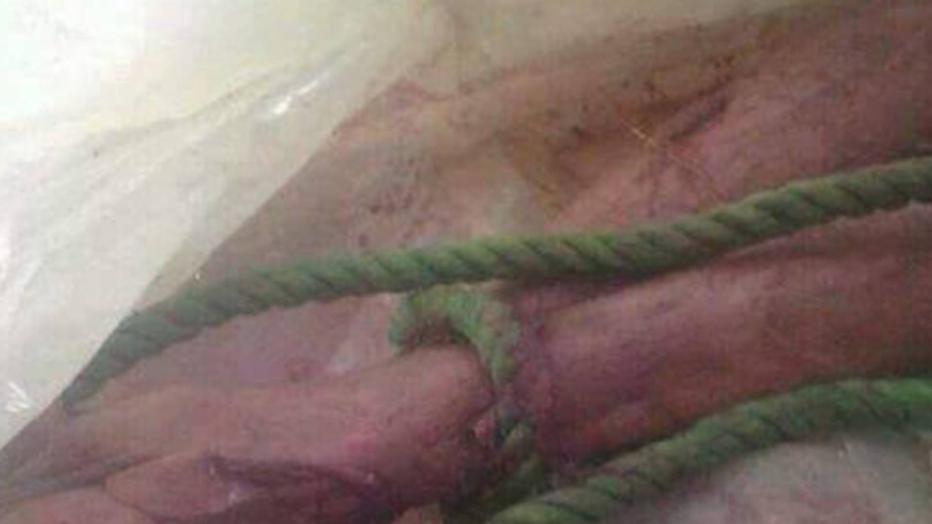 طبخ 3 شبان أحياء في ماء مغل