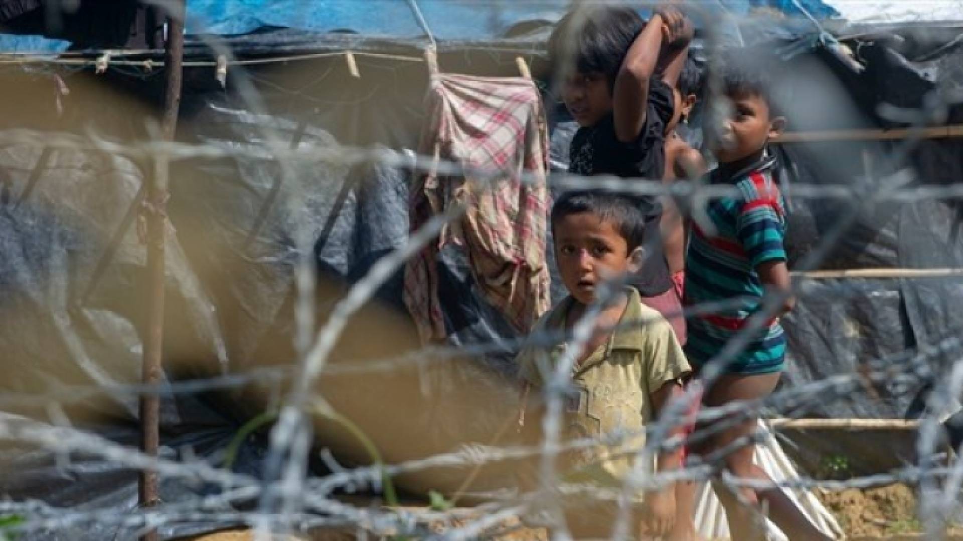 أطفال من الروهينجيا المسلمة بالقرب من الحدود مع بنغلادش