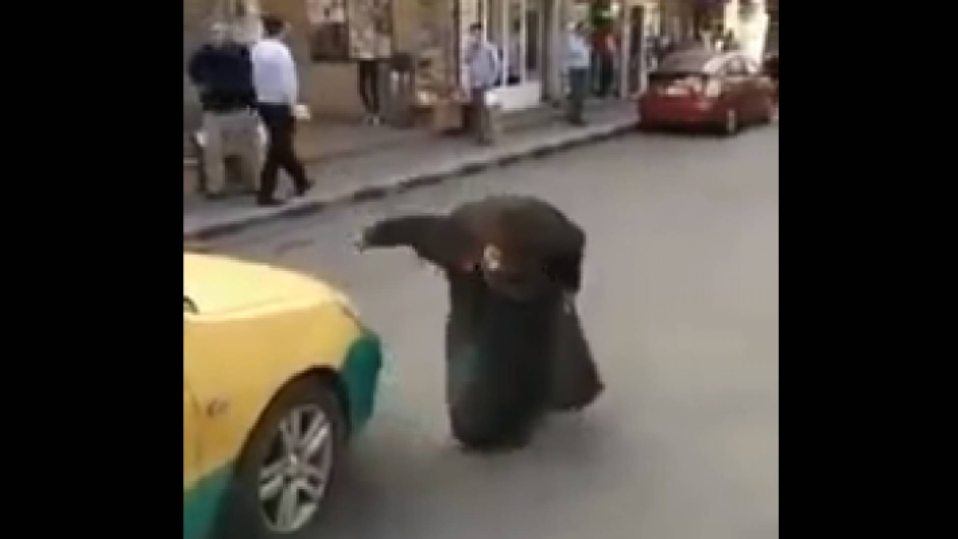 صورة من الفيديو