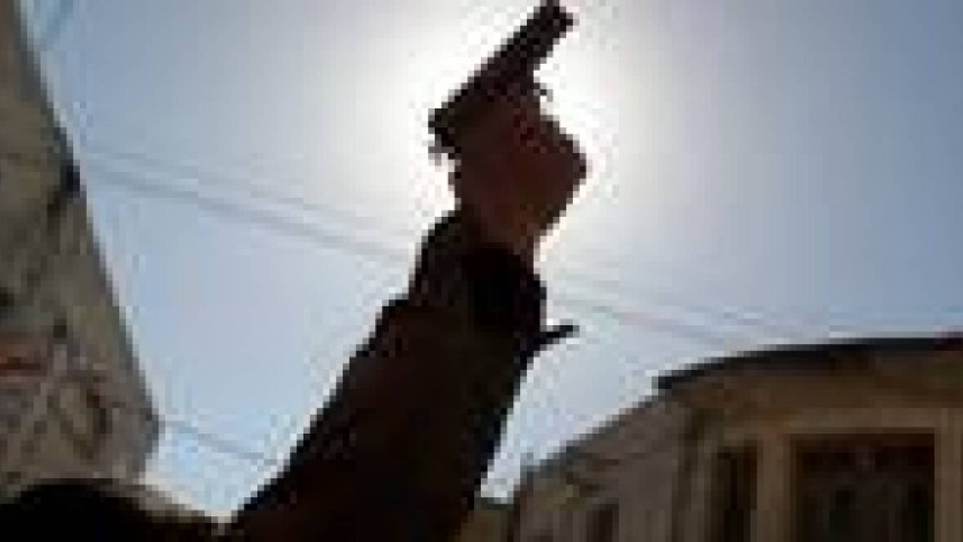 حملة أمنية ضد اطلاق العيارات النارية
