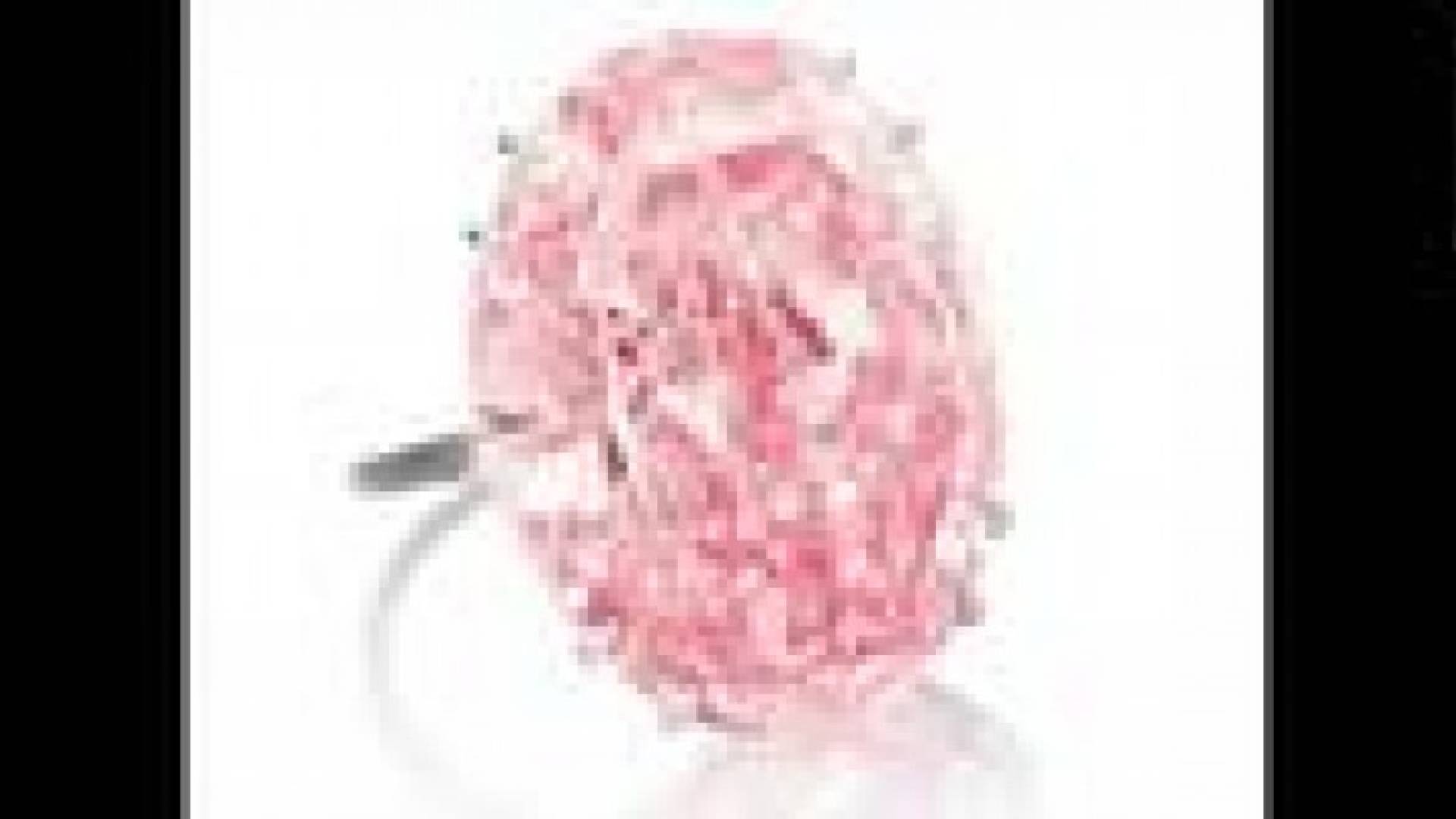 بيع أغلى ماسة بـ83 مليون دولار