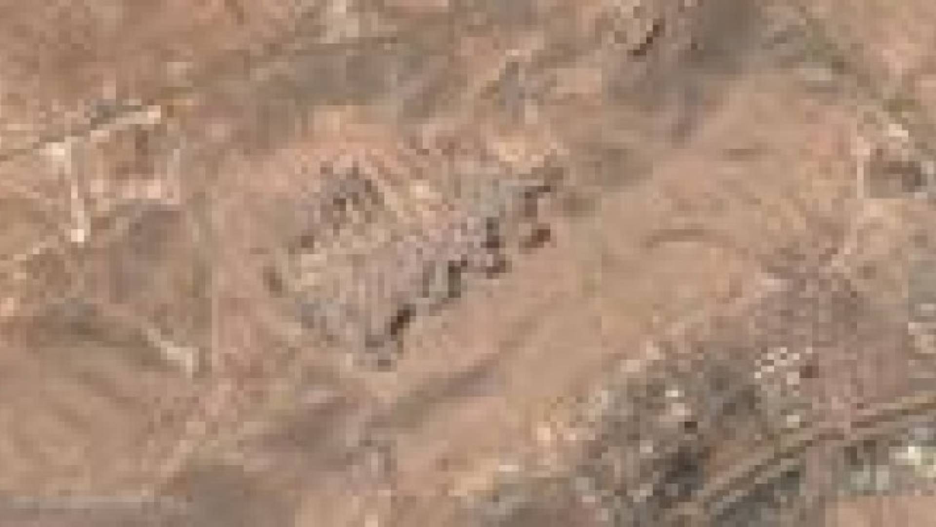 القلمون.. بوابة حسم الصراع في سوريا