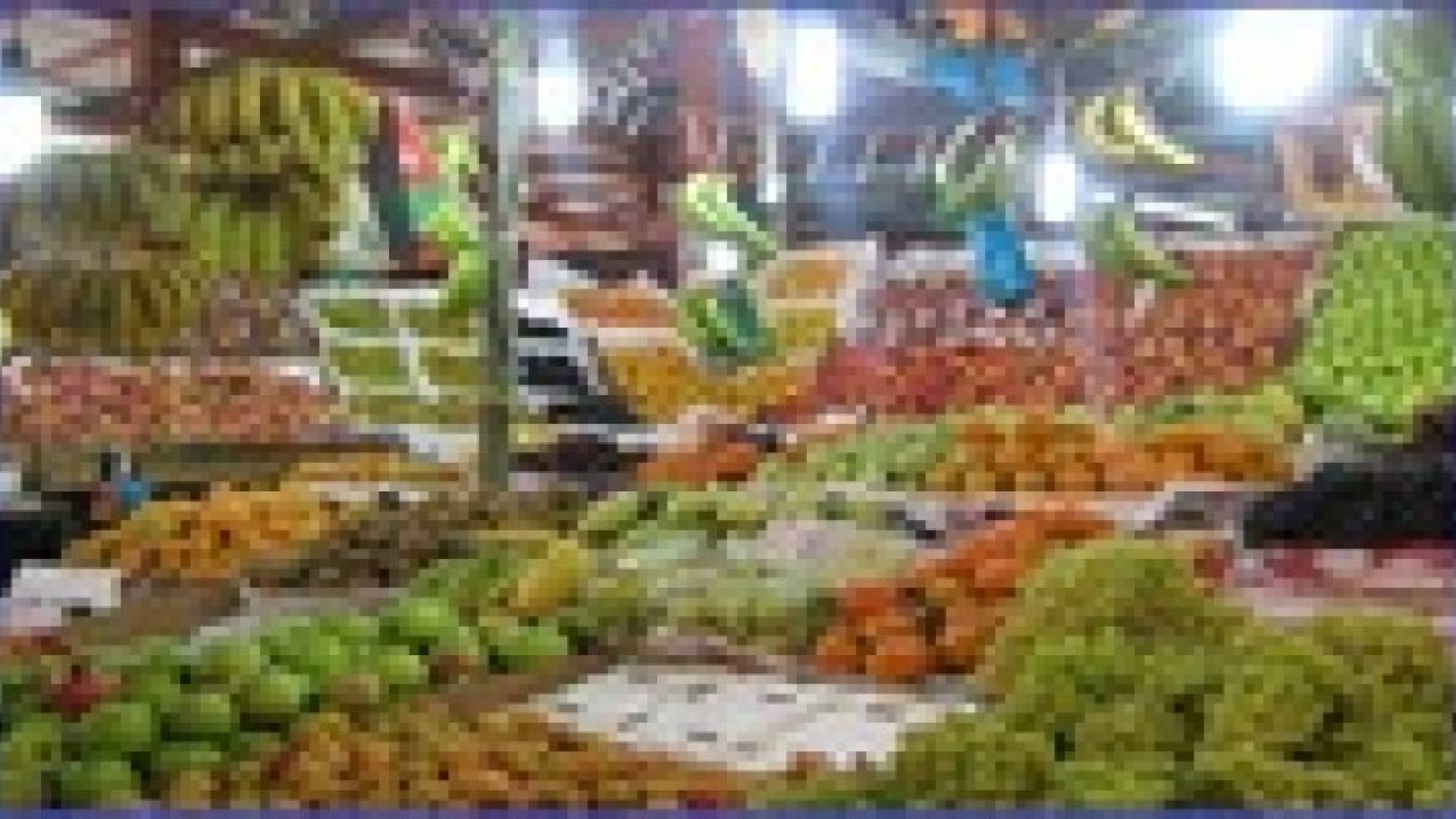 "الزراعة": المنتجات الزراعية الاردنية في الاسواق العراقية قريبا