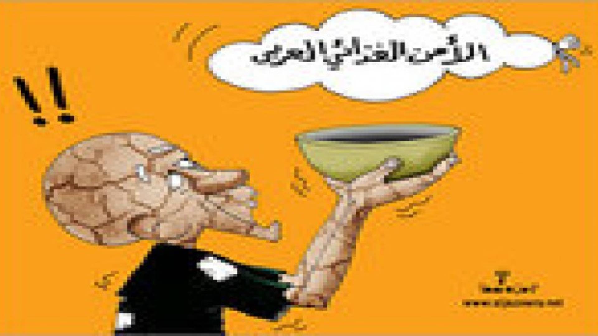 الكباريتي يدعو لانشاء مجلس اعلى للامن الغذائي