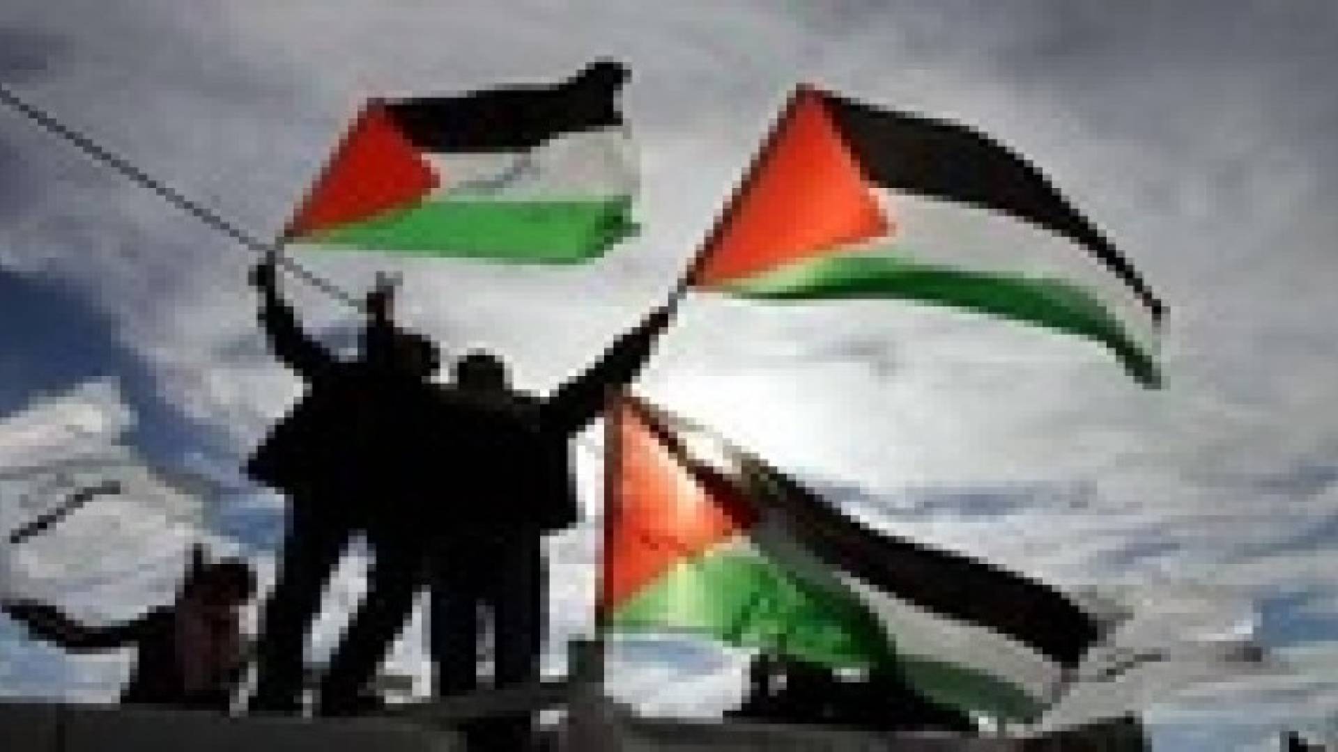 2014 عام للتضامن مع الشعب الفلسطيني
