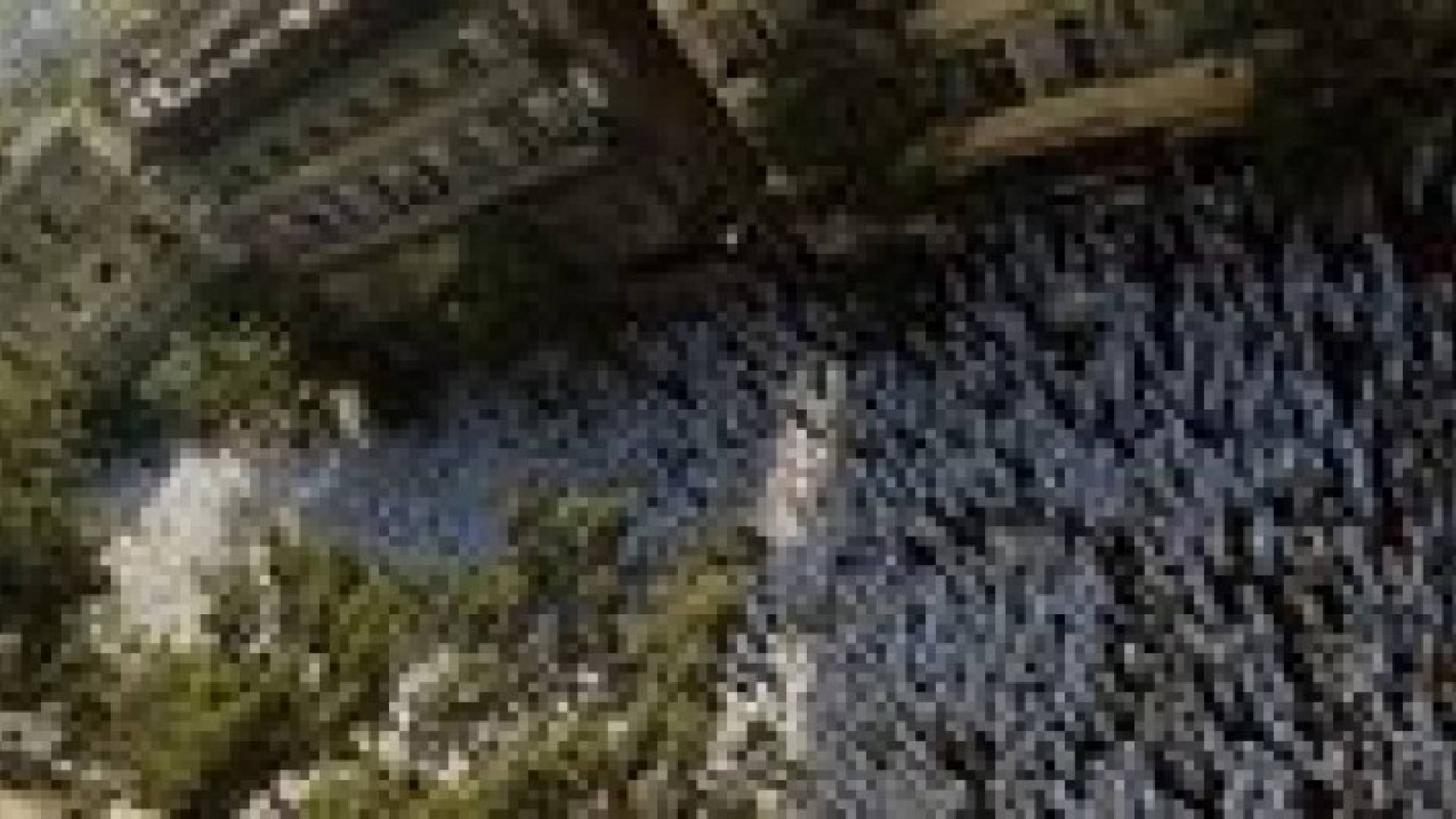 الهند: مقتل 18 بتدافع شعبي خلال تجمع في مأتم زعيم روحي مسلم