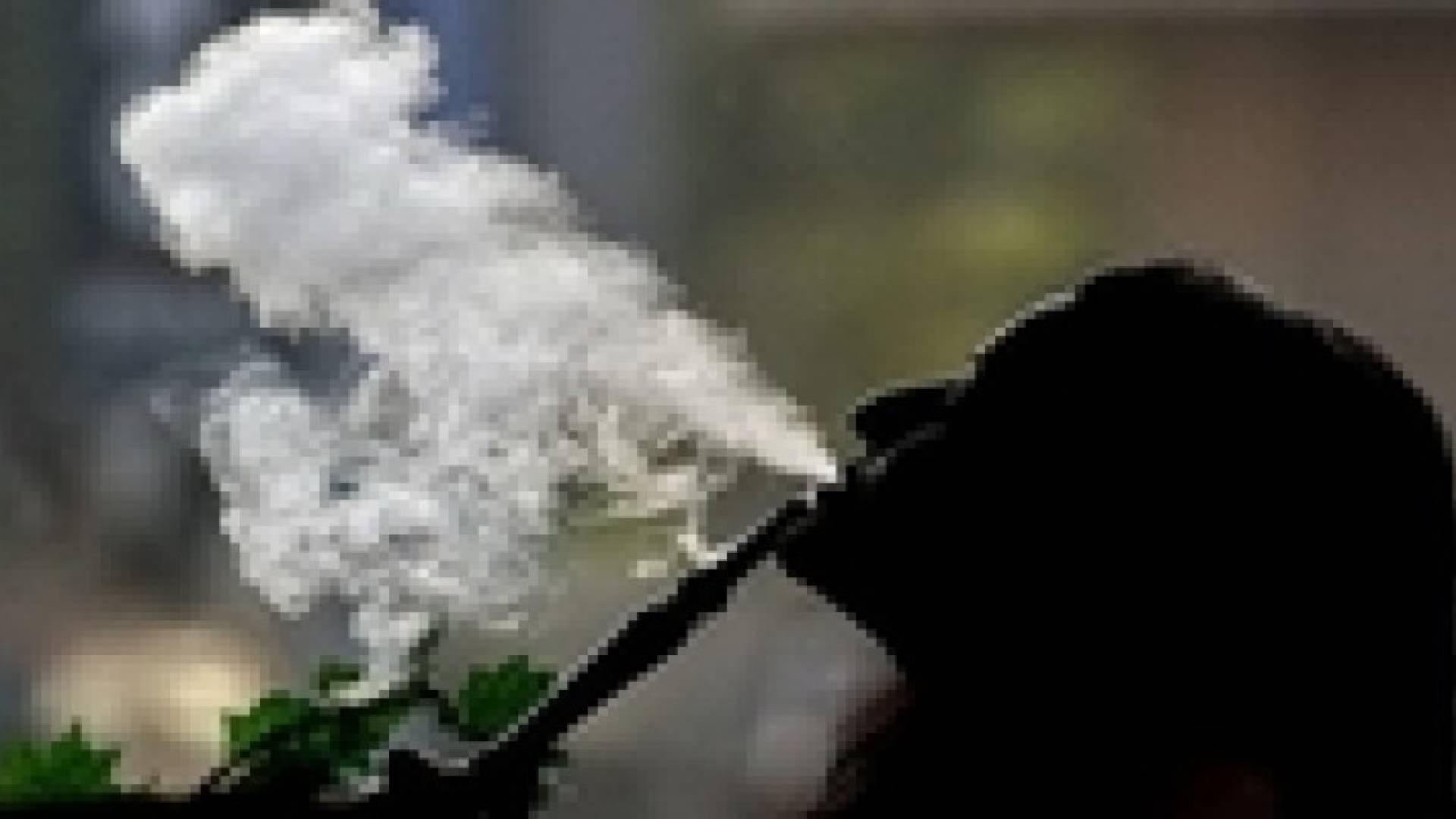 "مكافحة السرطان": منع التدخين وضبط أسباب انتشاره قرارا استراتيجيا