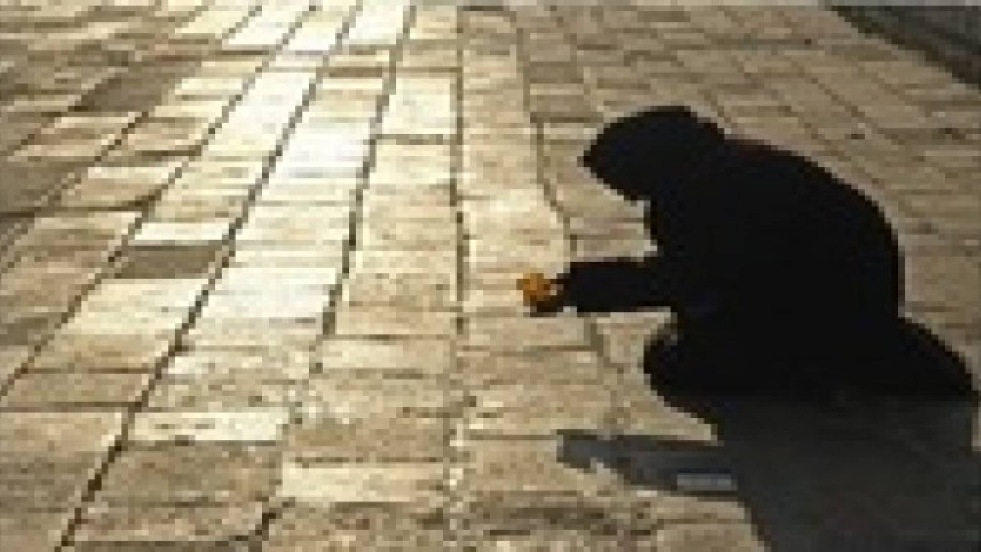 احالة 1399 متسولا للقضاء