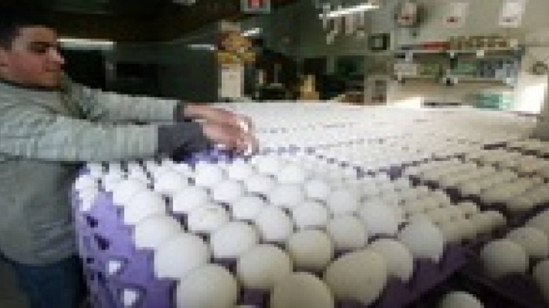 مطالبة باعفاء بيض المائدة من ضريبة المبيعات