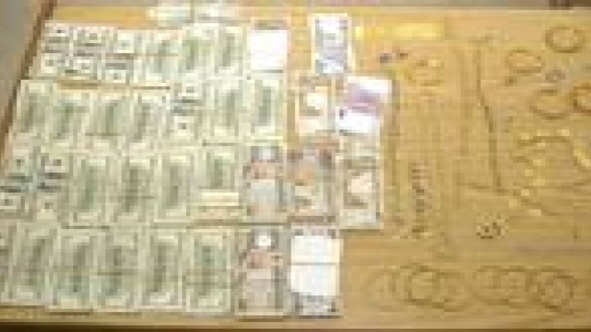 القبض على سارقي قاصه في وادي السير