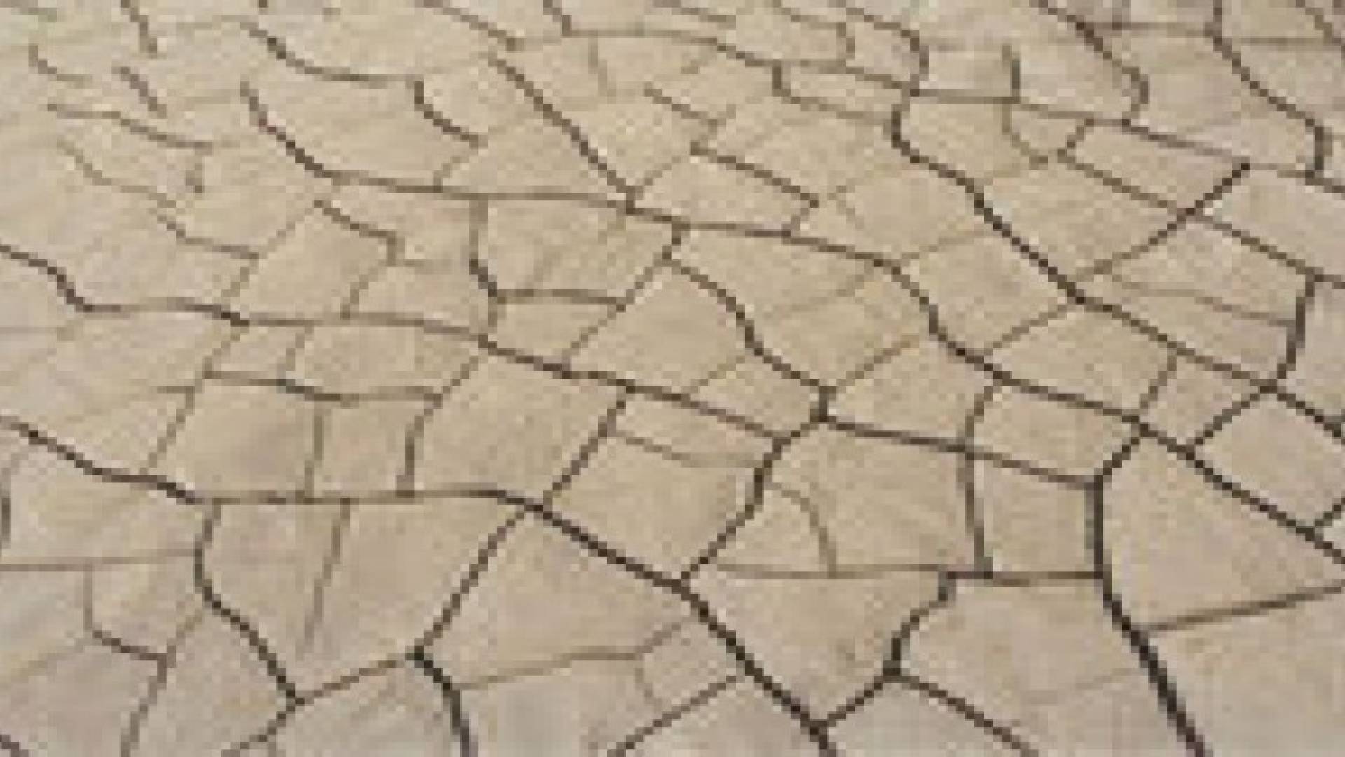 الزراعة تدعو المزارعين الى عدم التخوف من الانحباس المطري