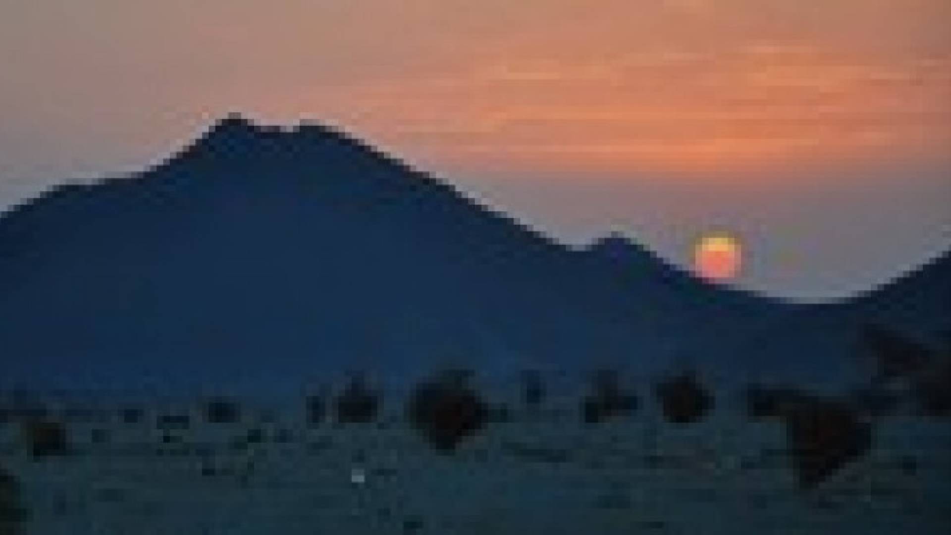 بيان : النسور شوه المكرمة الملكية ونرفض أراضي العقيق