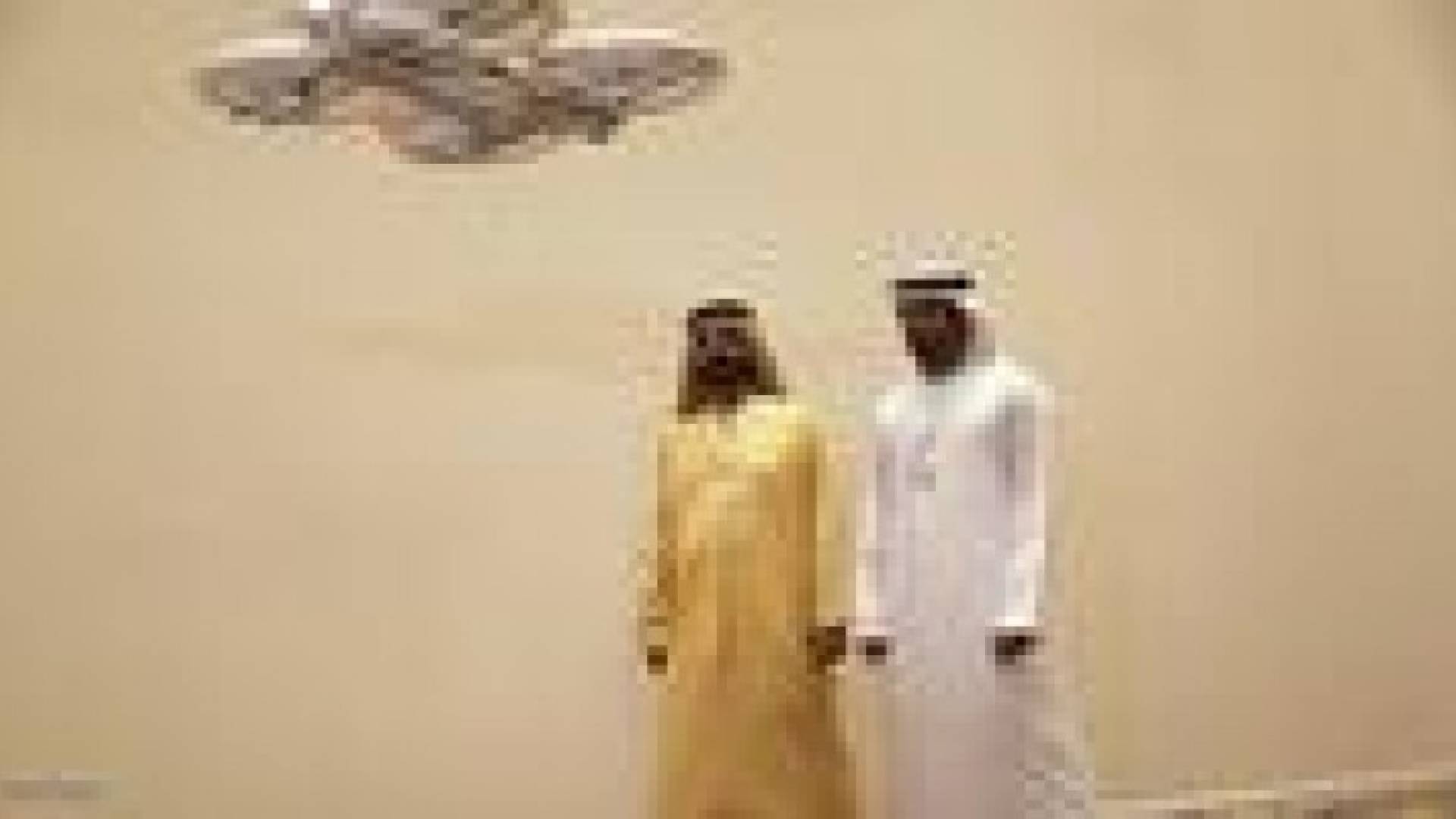 أجهزة طائرة لتوصيل الوثائق الرسمية بالإمارات