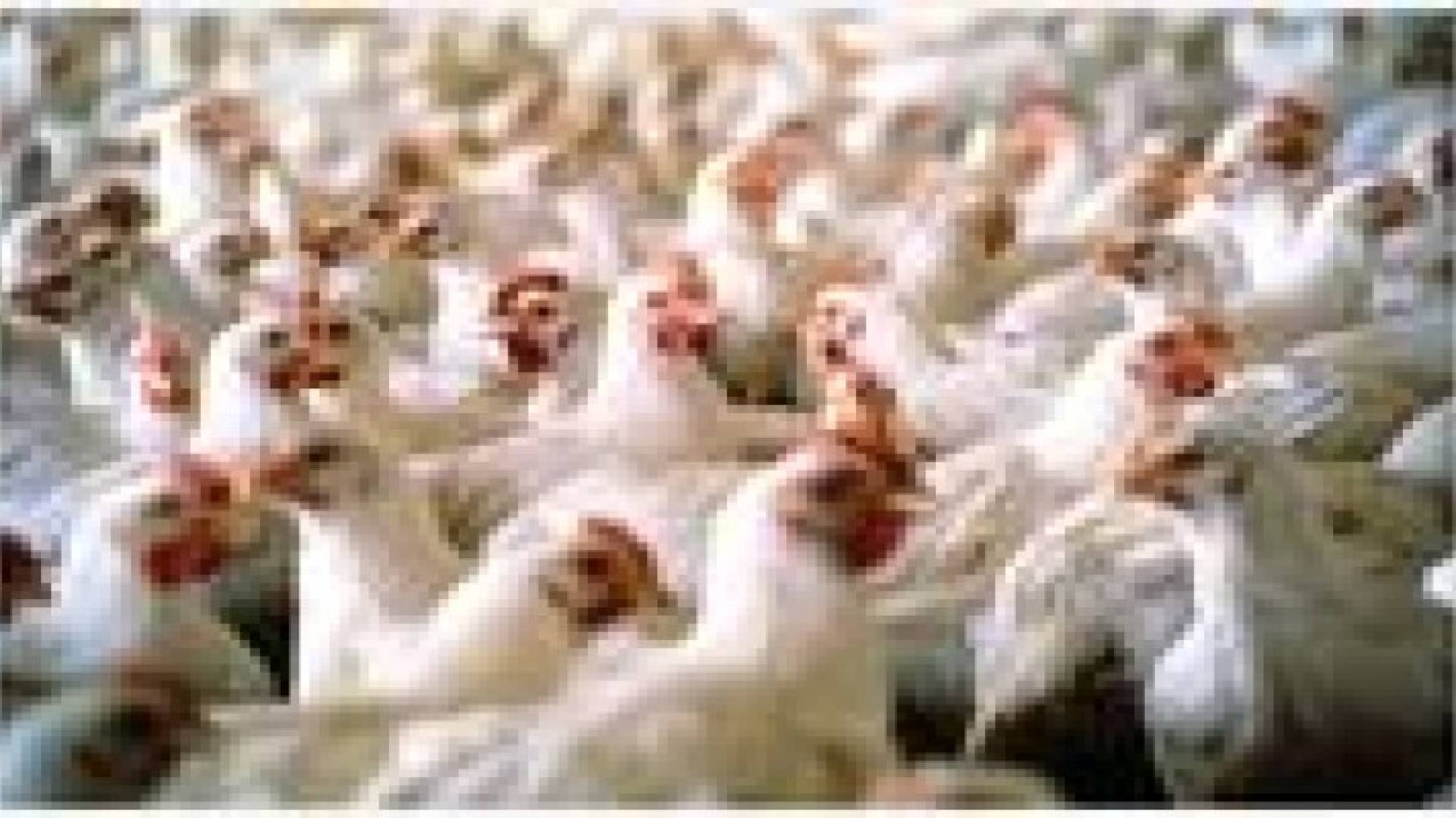 "الصناعة والتجارة" تحدد سقفا سعريا للدجاج الطازج و"النتافات"