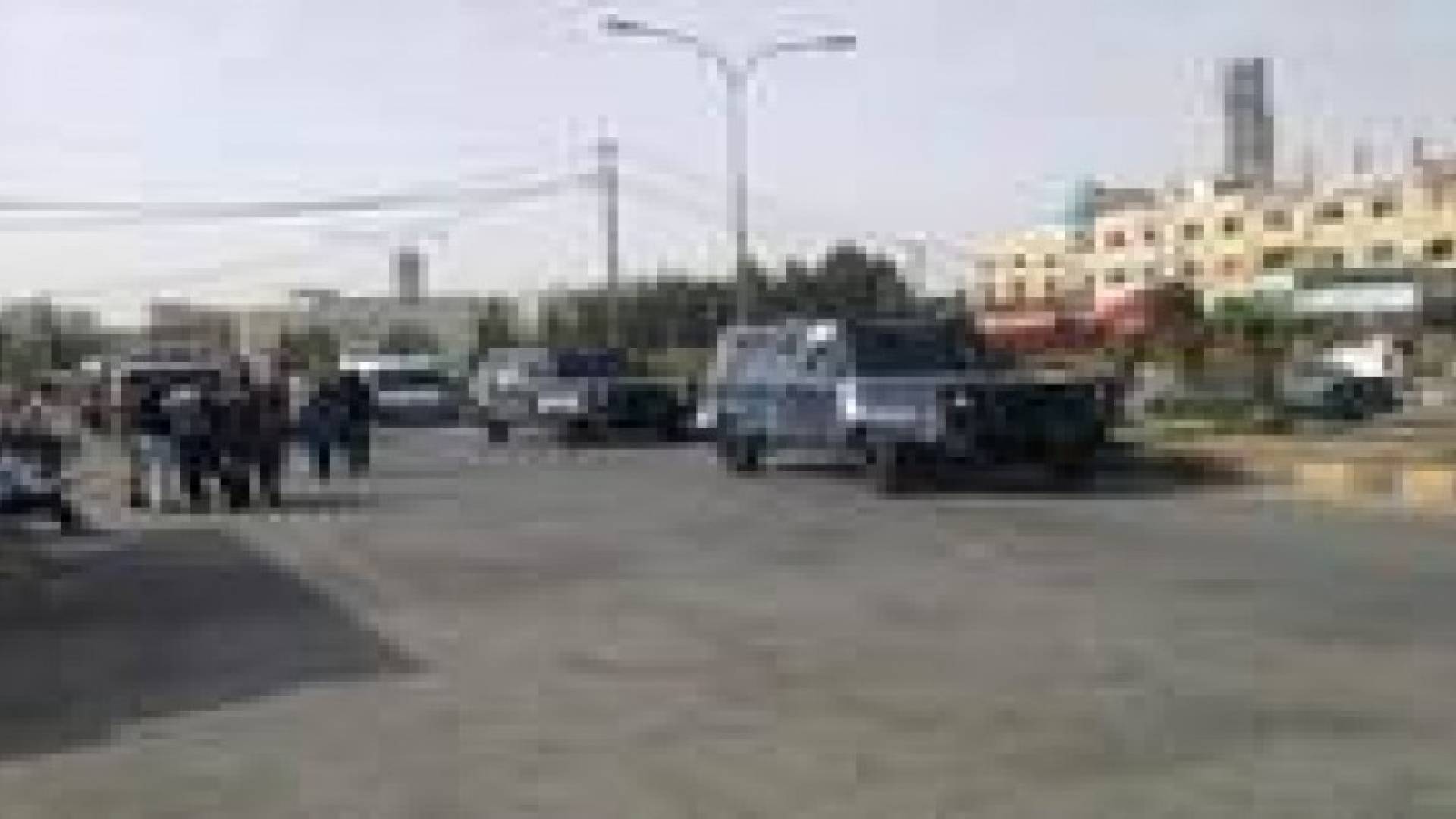 مشاجرة في الكرك