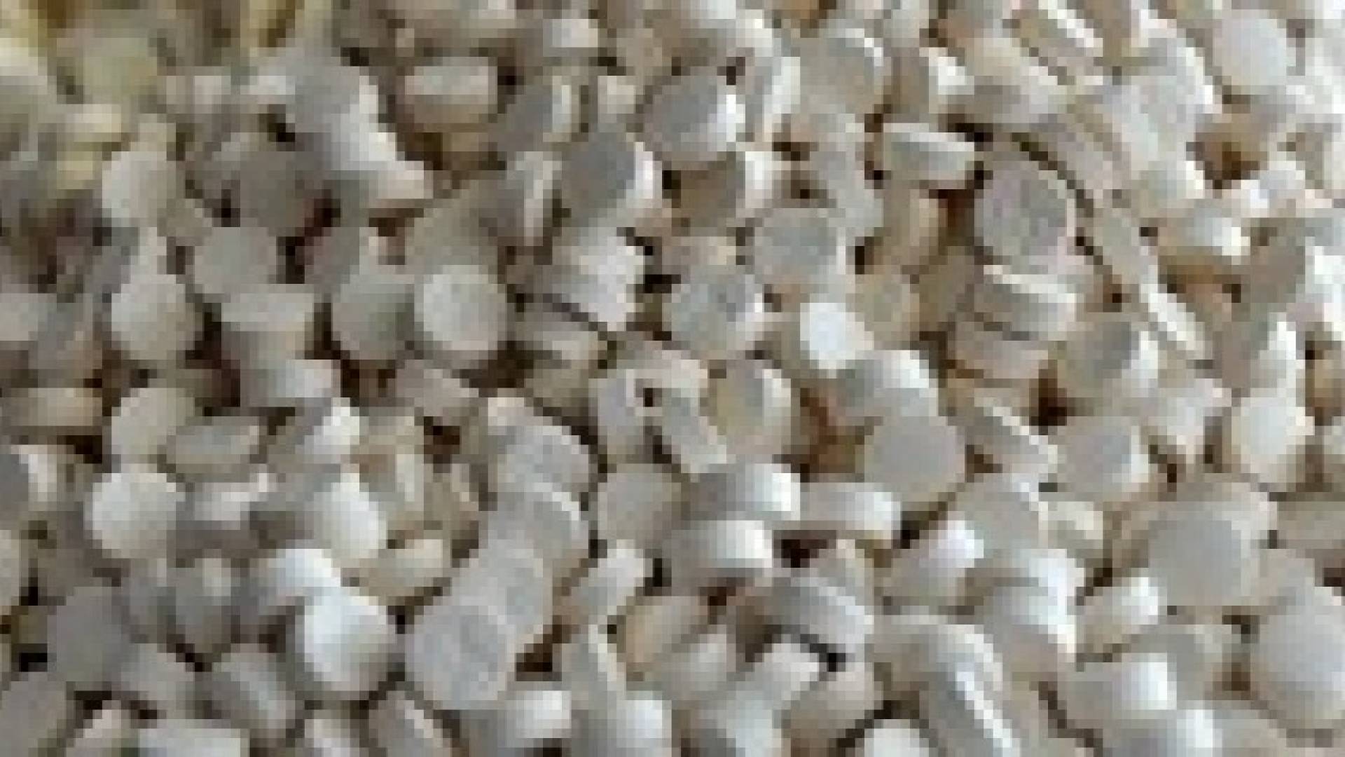 ضبط كميات مختلفة من الحبوب المخدرة في العقبة