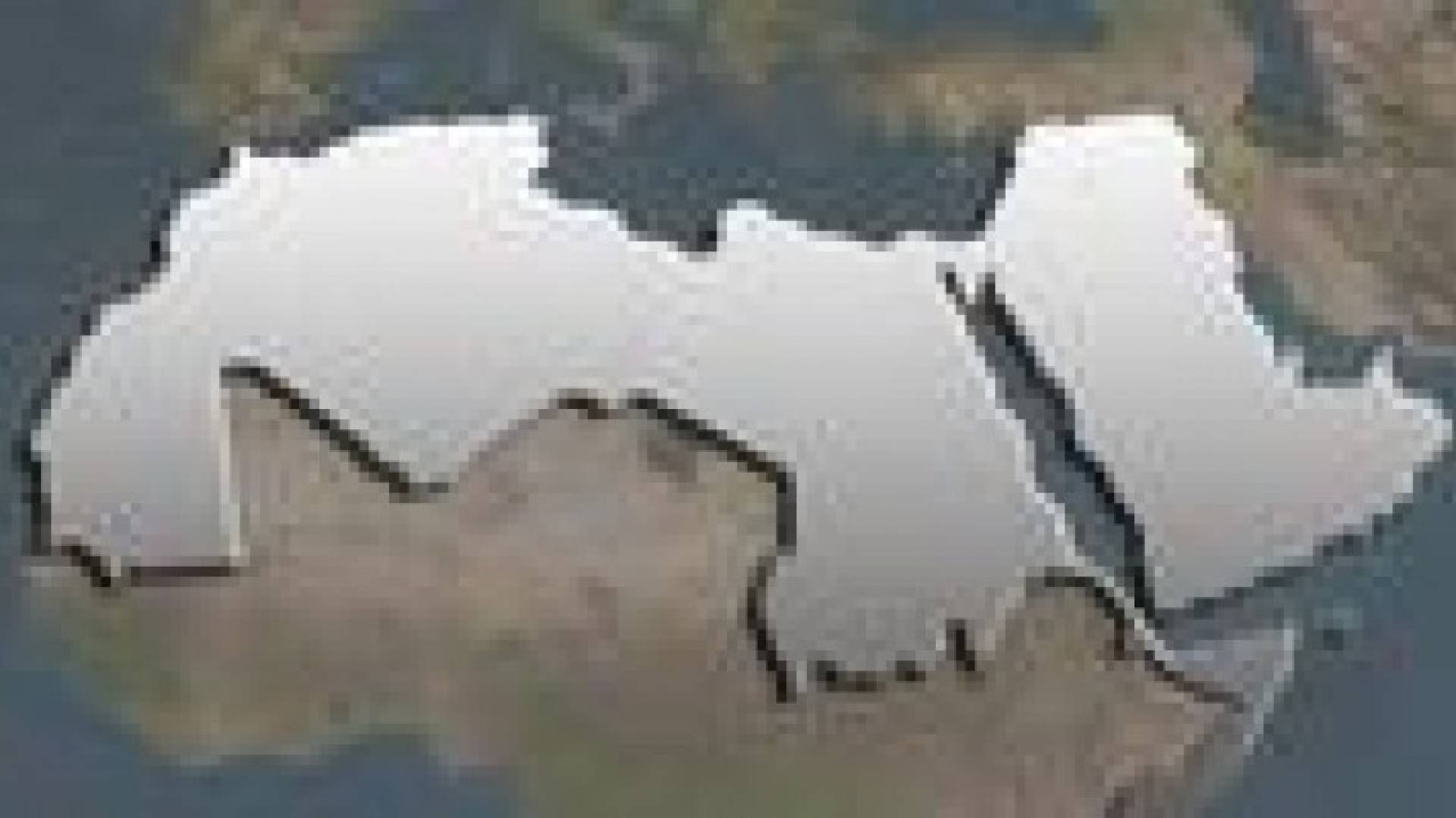 اتحاد الجامعات العربية: المياه في الوطن العربي الواقع والتحديات والفرص