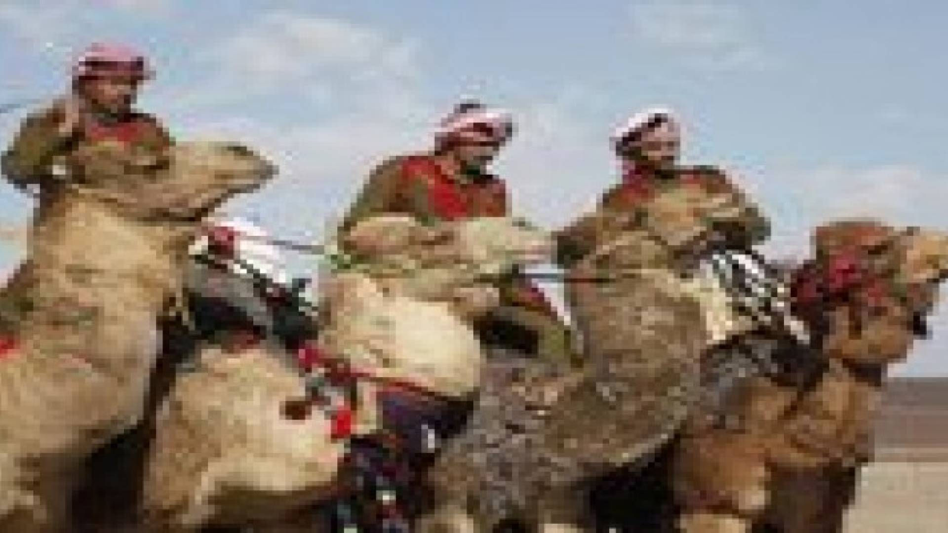 ضبط 53 مطلوبا و 13 مركبة مسروقة في البادية