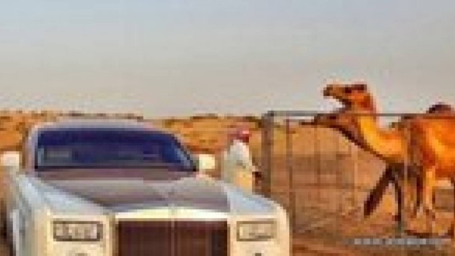 "رولز رويس" تقاضي إماراتي يستخدم سيارتها في تحميل "العلف"