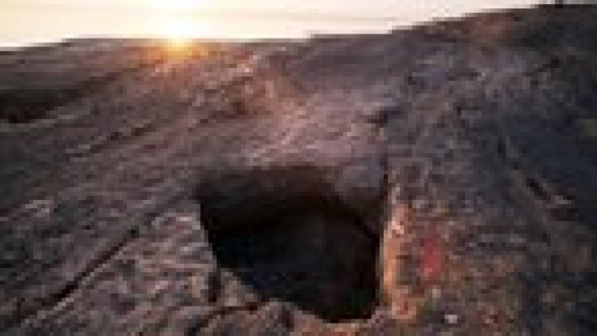 البحر الميت في خطر