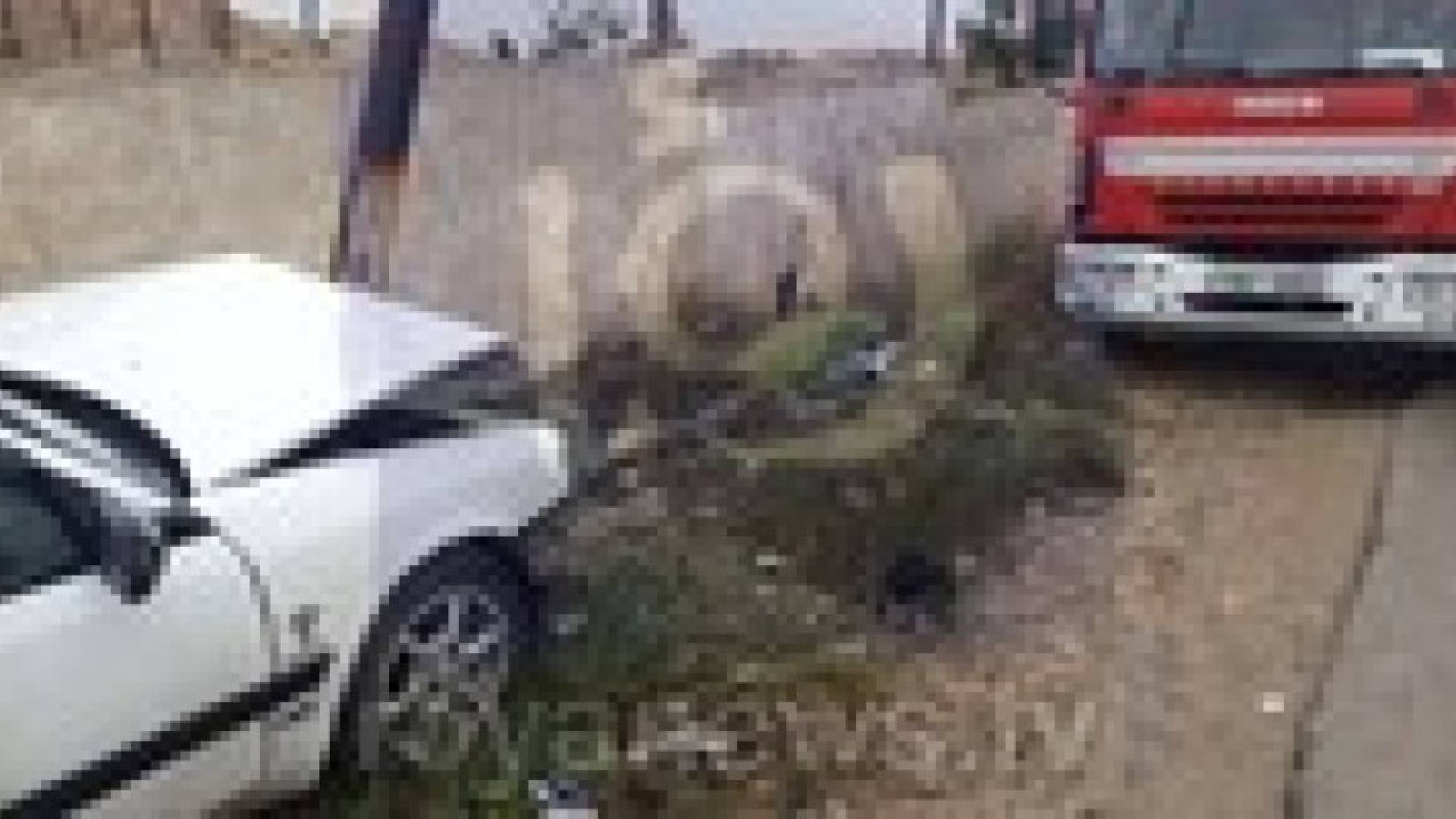 إصابة مواطن إثر تدهور مركبته في وادي الكرك