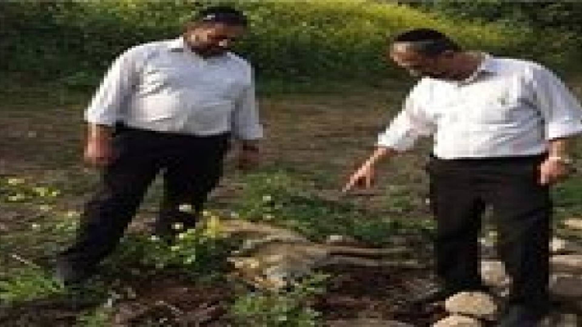اسرائيل: ذئاب مصابة بداء الكلب دخلت من الأردن