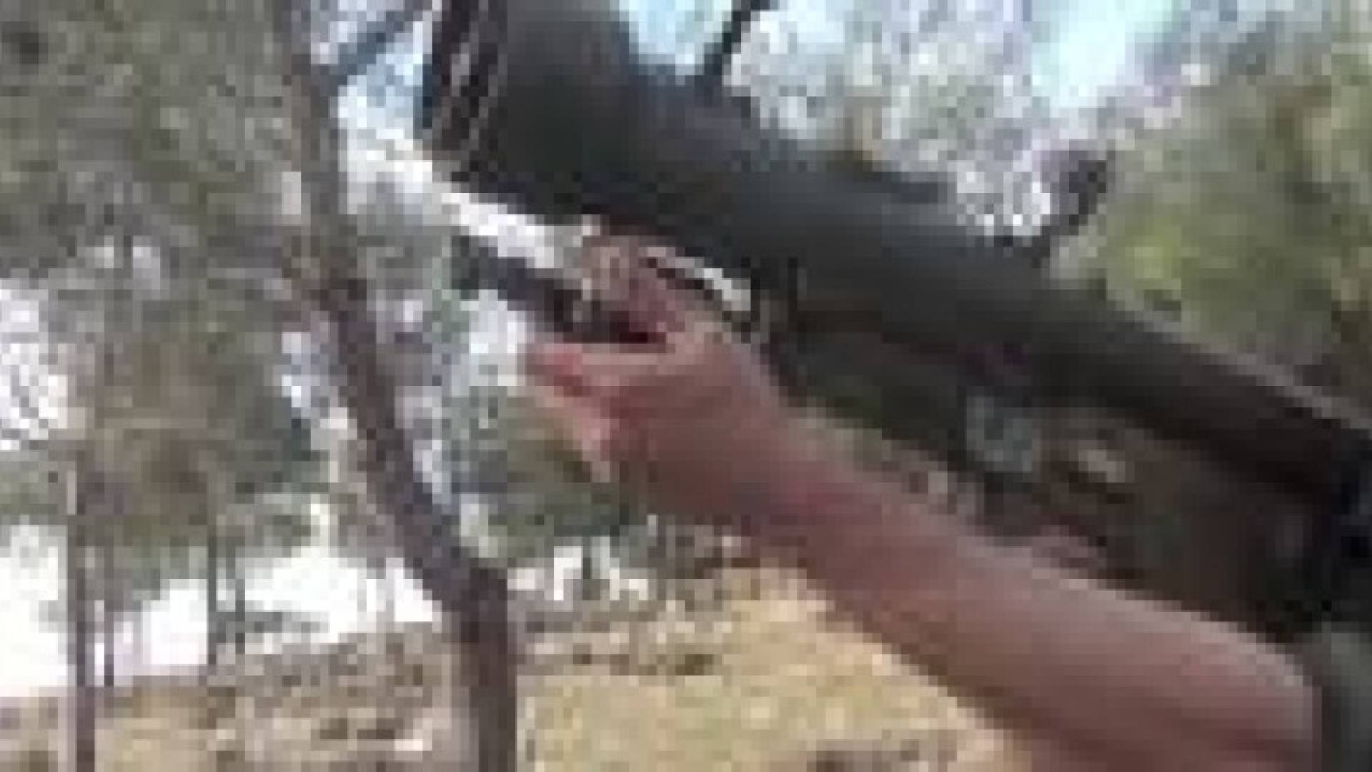 الاردن رفض مد المعارضة السورية باسلحة عبر اراضيه