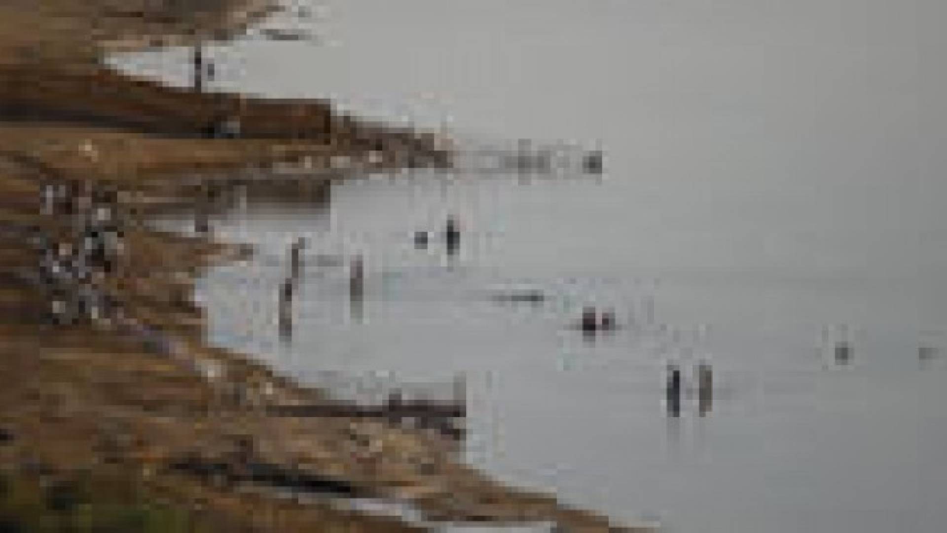 40 مليون دينار لتنفيذ "كورنيش" البحر الميت