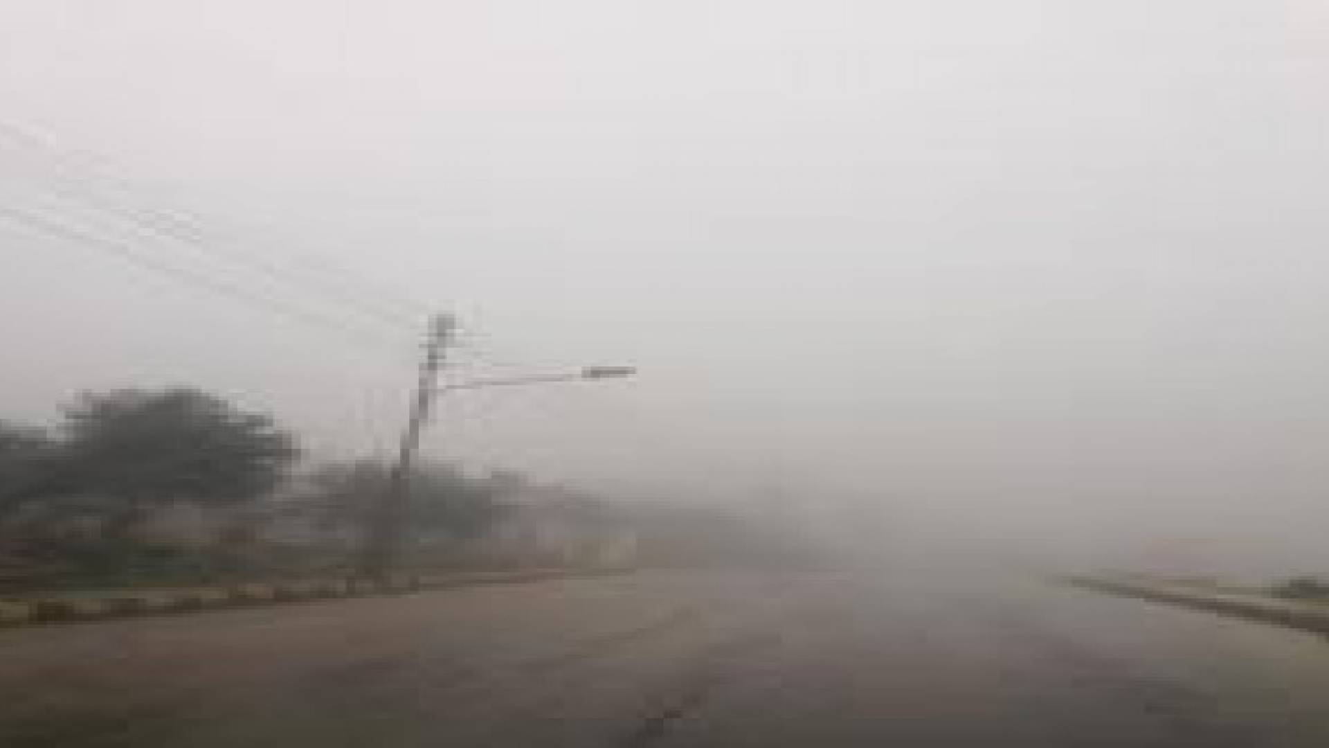 صور من امطار العاصفة "مسرة"