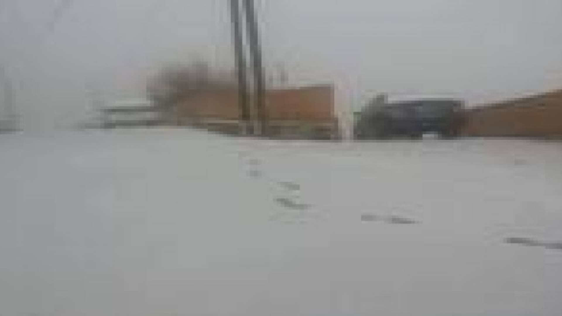 الثلوج تزور المملكة صباح الجمعة...صور